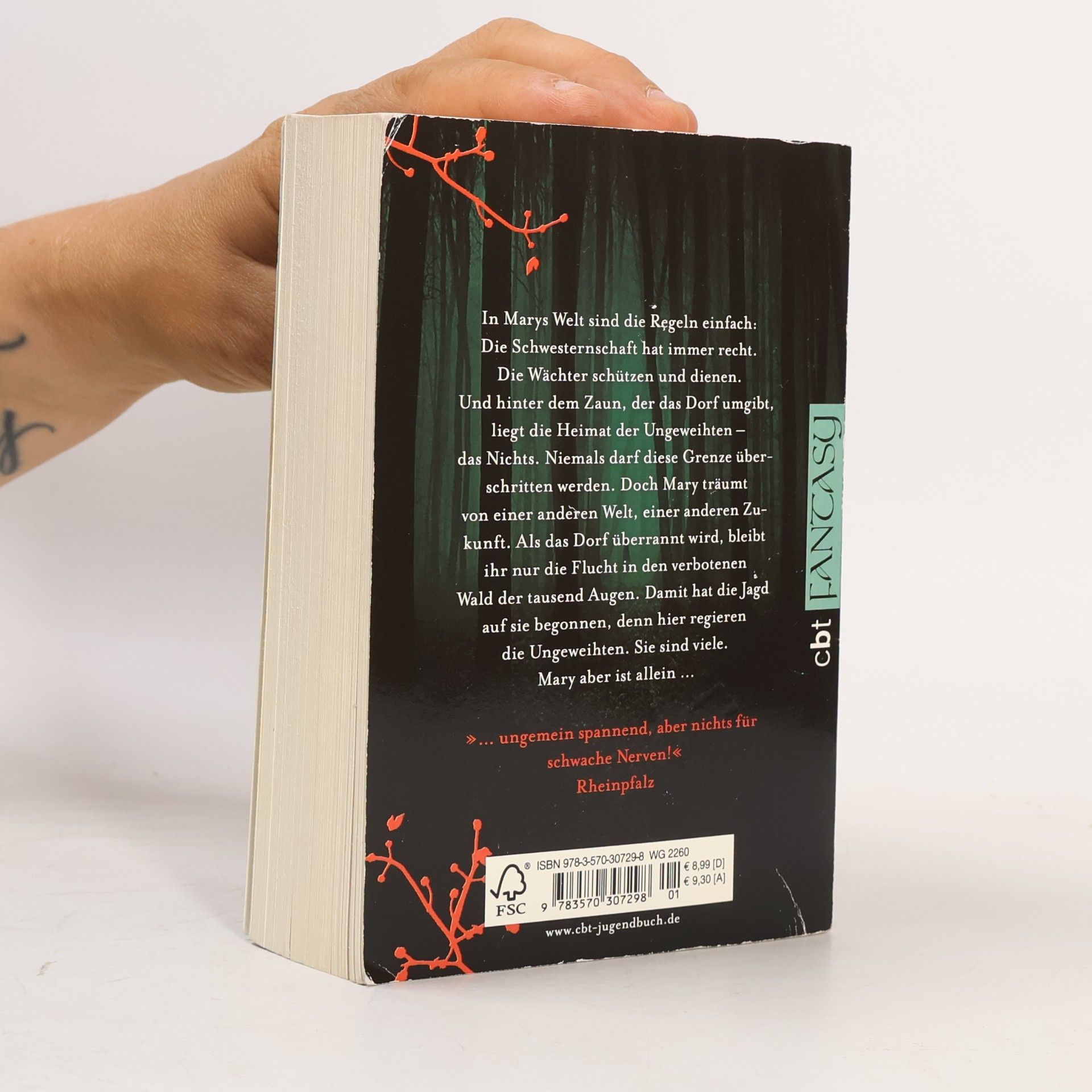 Carrie Ryan The Forest