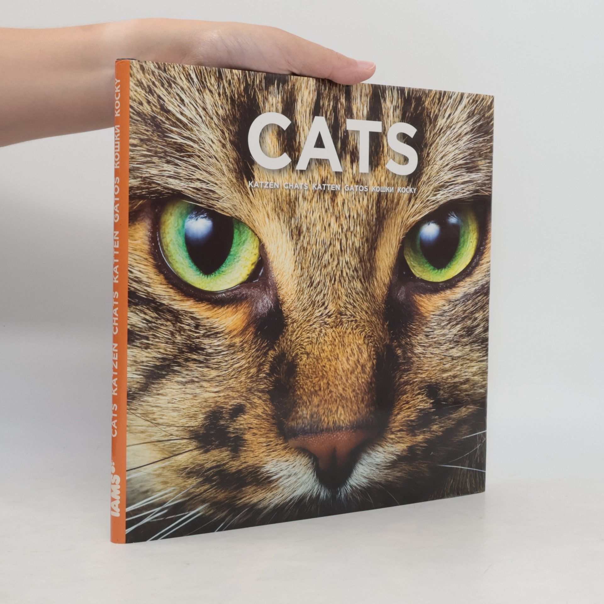 Auteurscollectief Cats