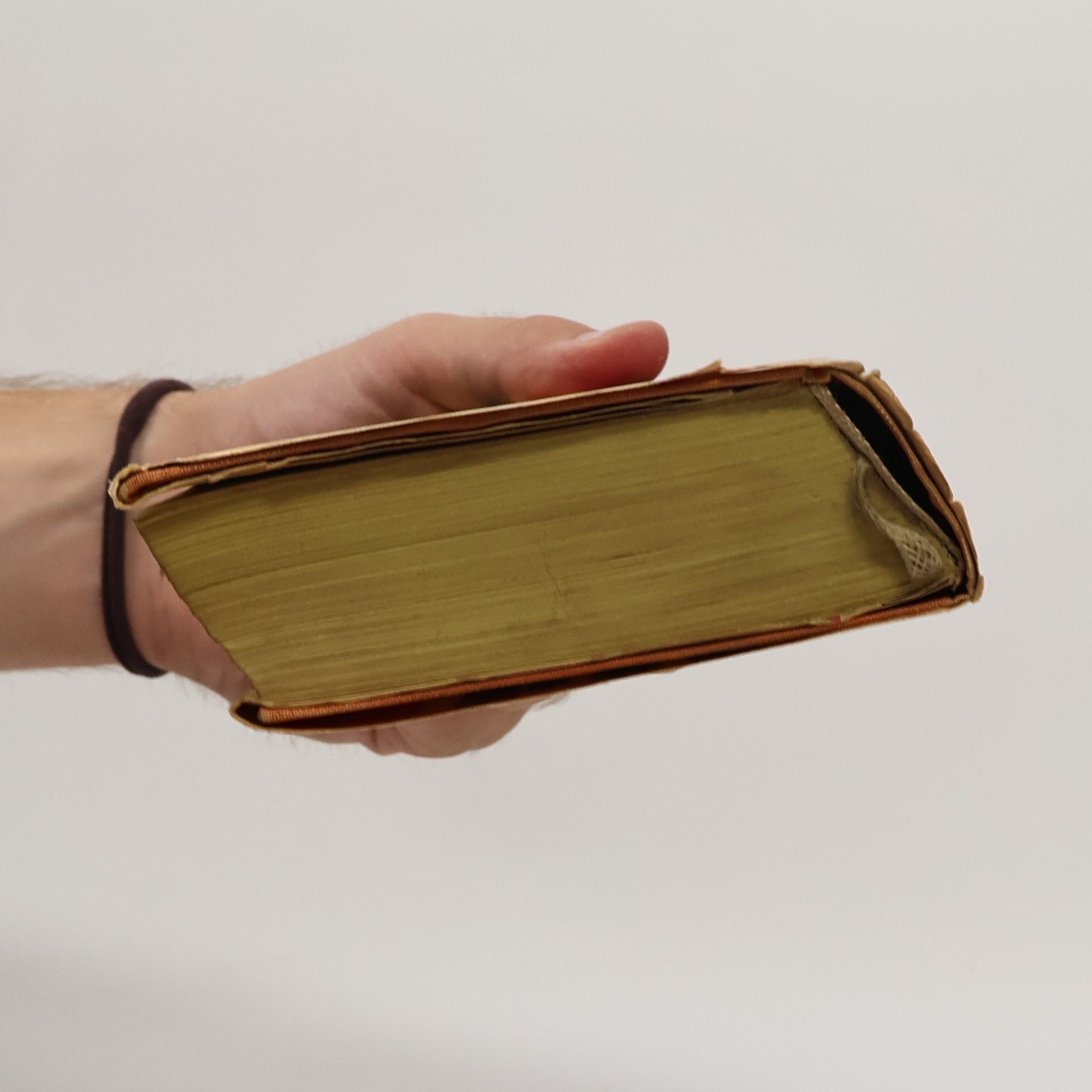 Bohuslav Březovský Železný strop