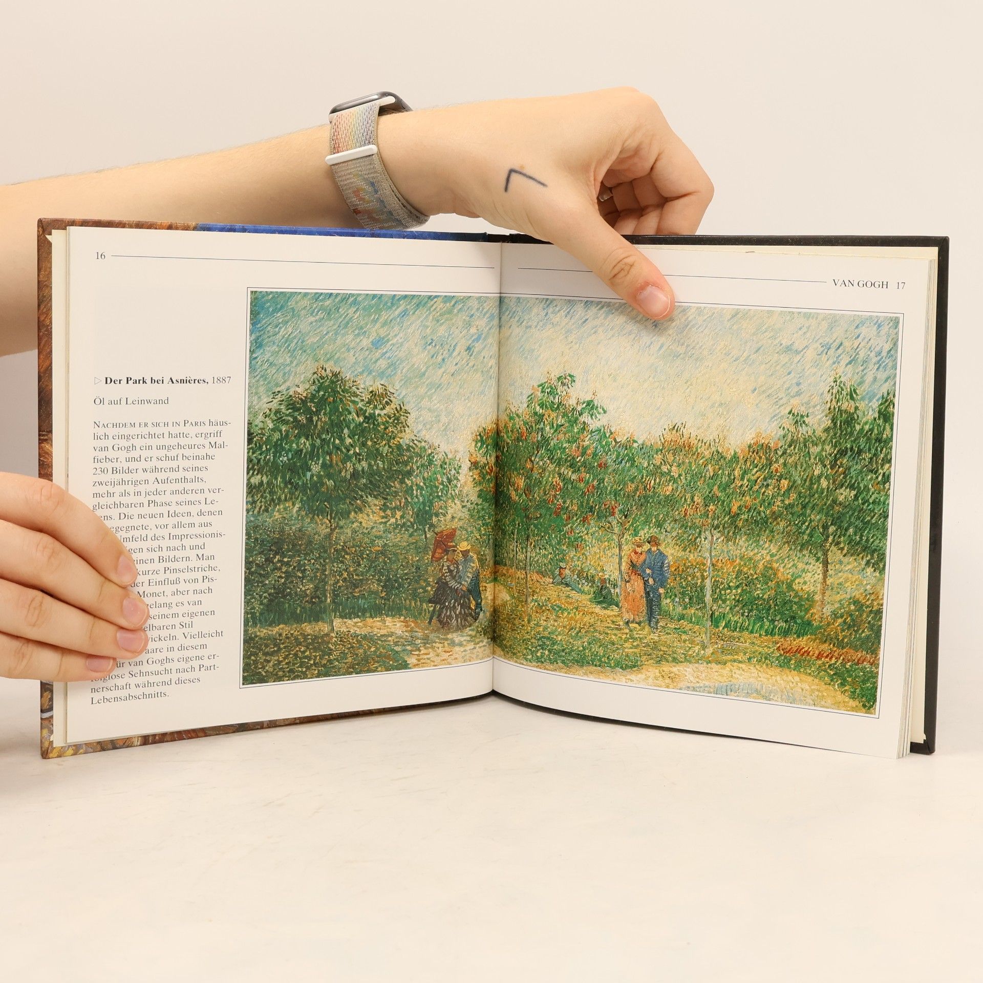 Vincent van Gogh Van Gogh