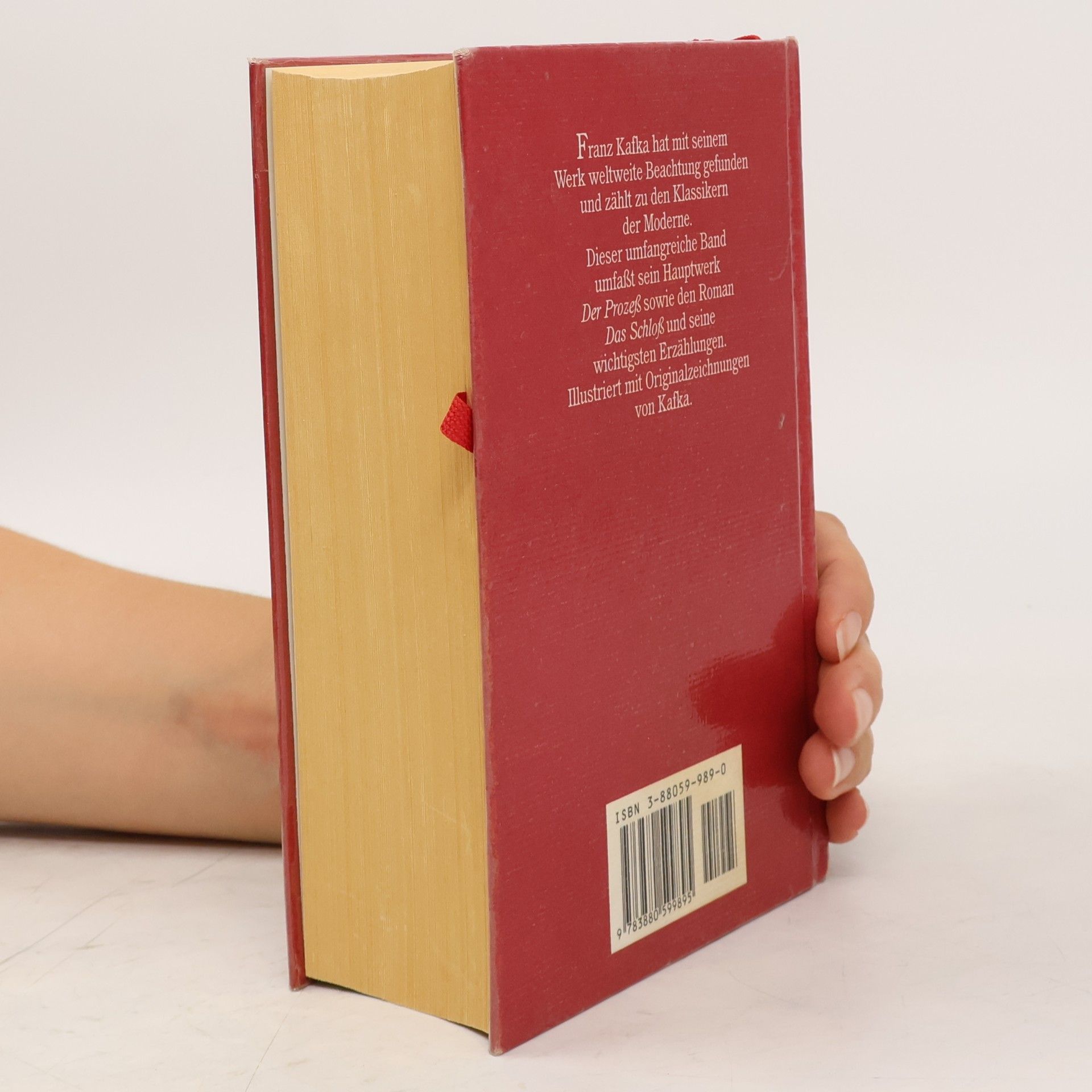 Franz Kafka Romane und Erzählungen