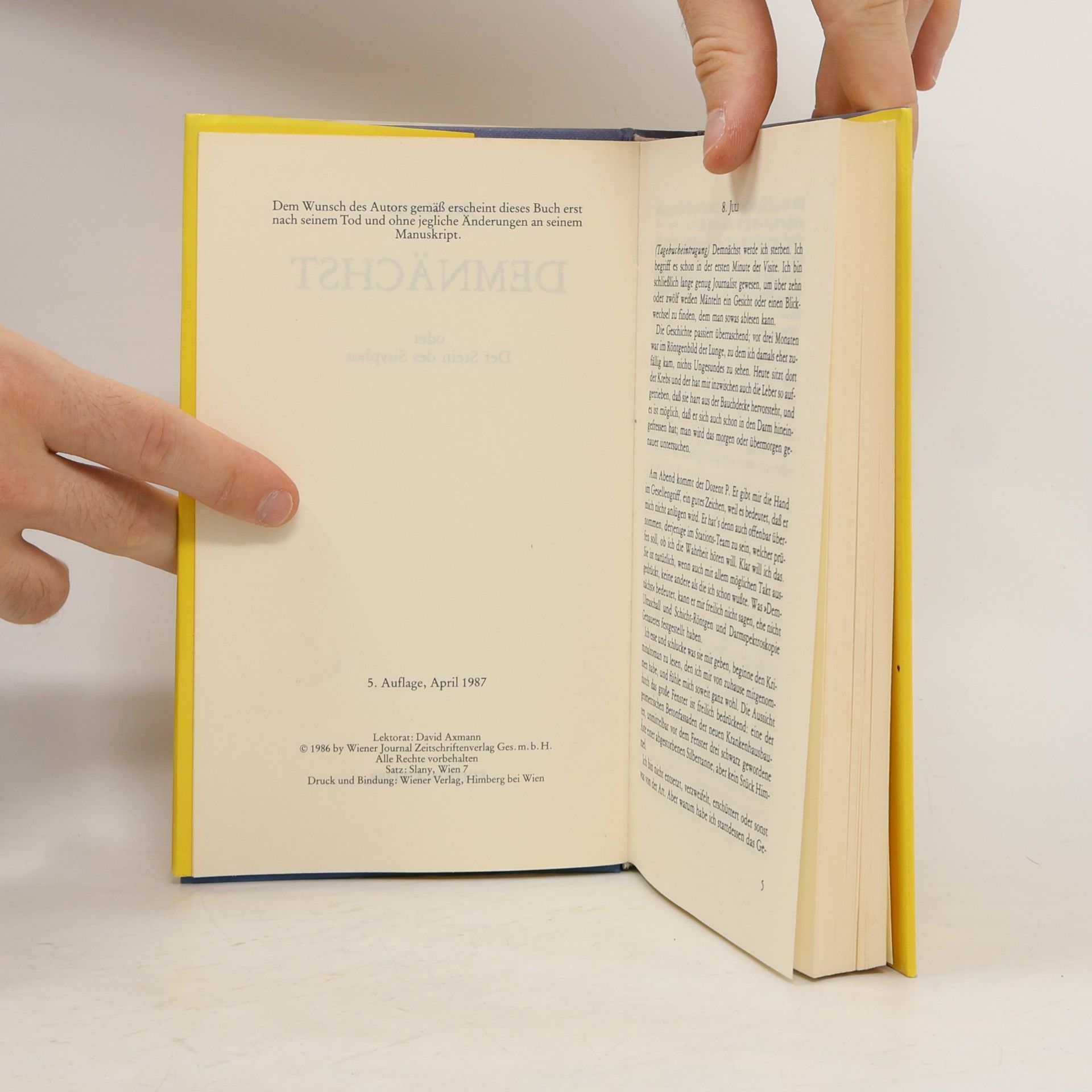 Jörg Mauthe Demnächst Oder der Stein des Sisyphos