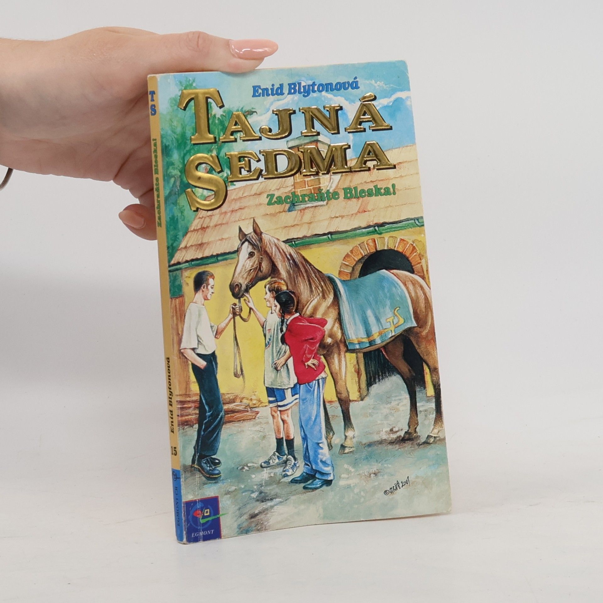 Enid Blyton Tajná sedma