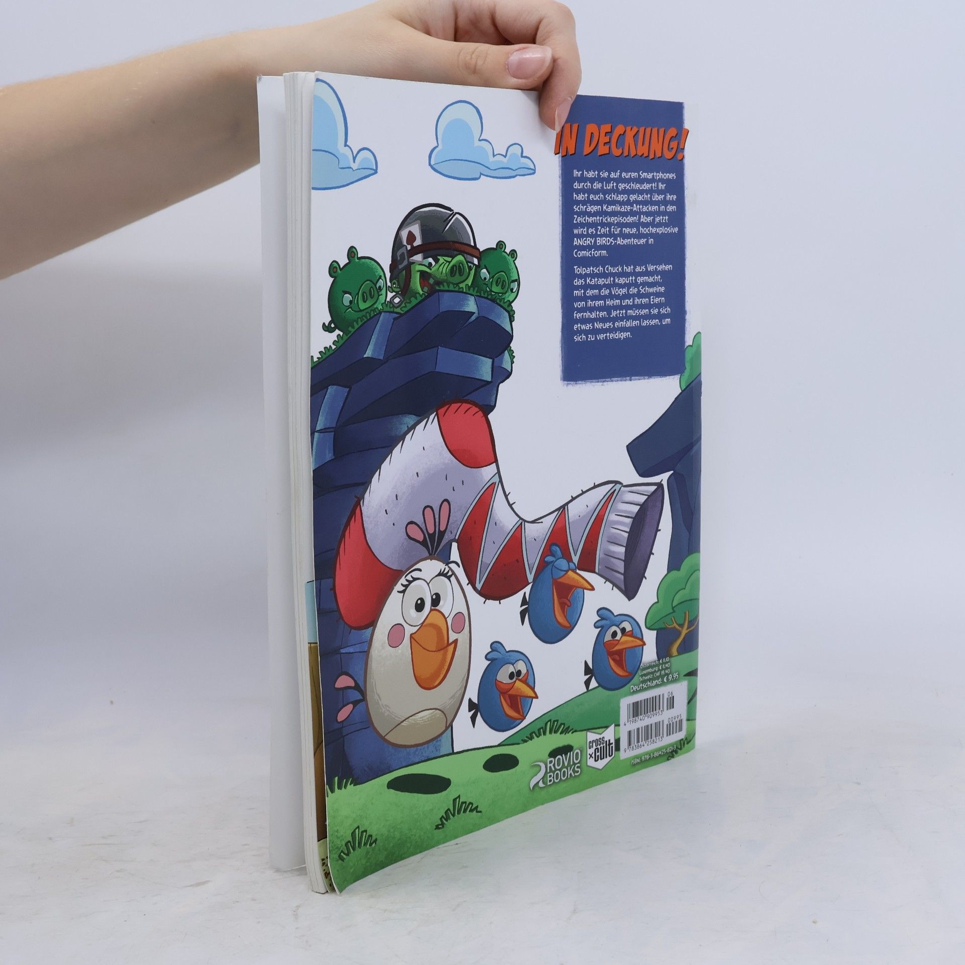 Anastasia Heinzl Angry Birds Comics - 6: Das zerstörte Katapult