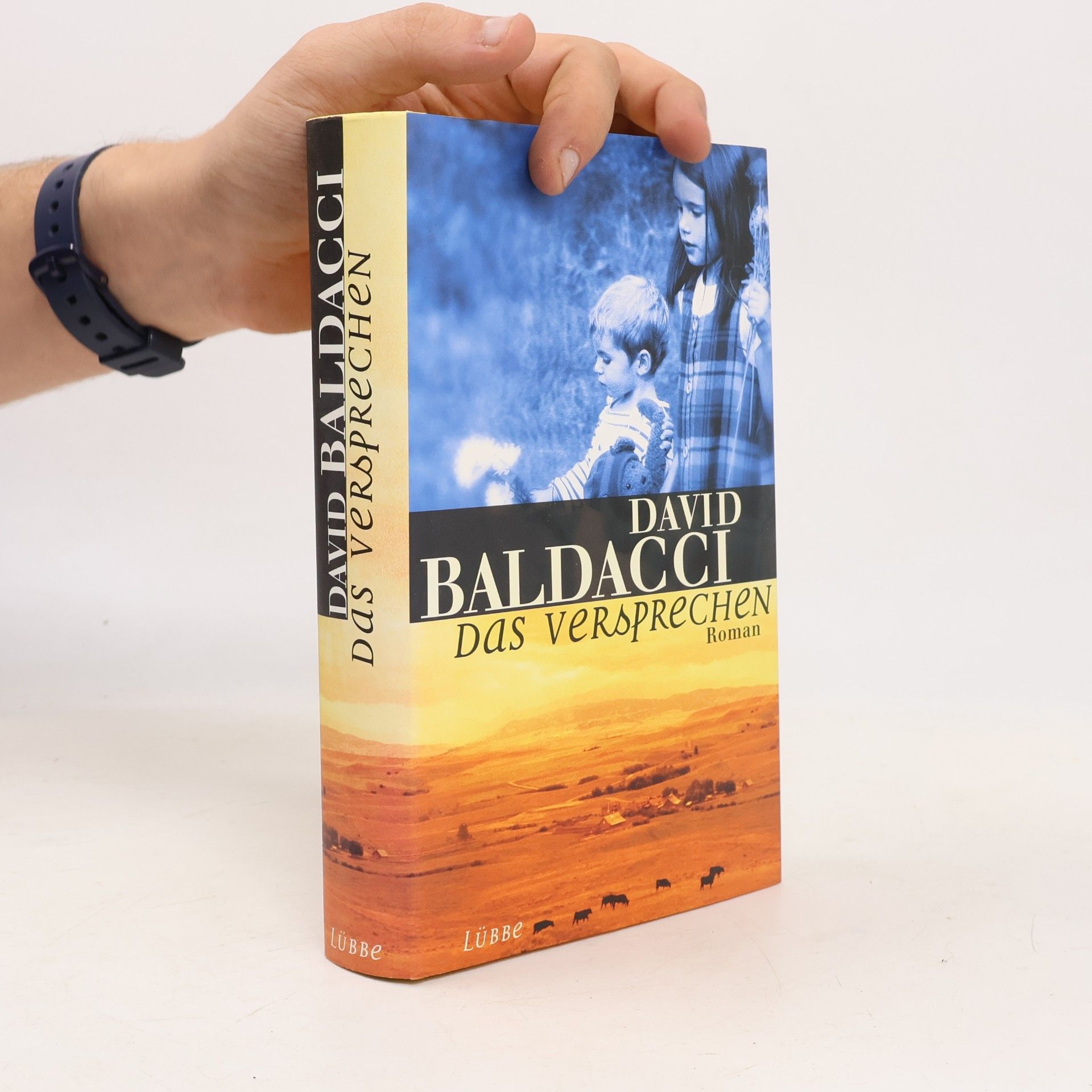 David Baldacci Das Versprechen