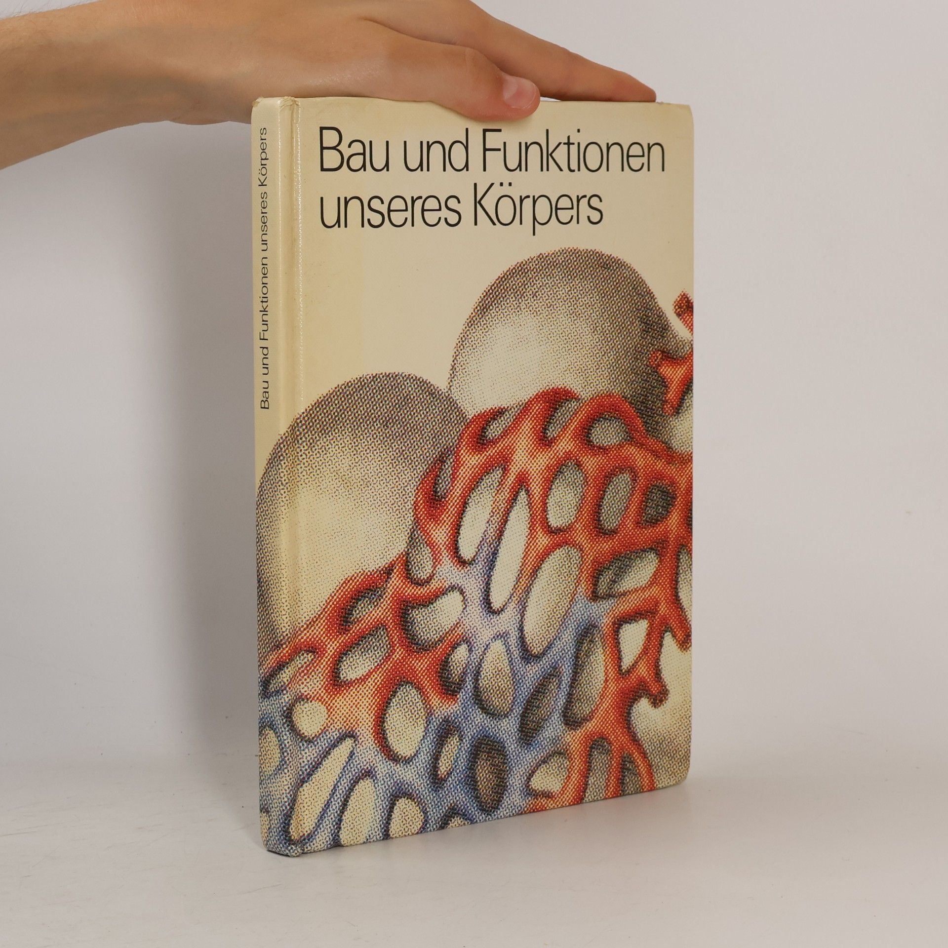 Autores varios Bau und Funktionen unseres Körpers