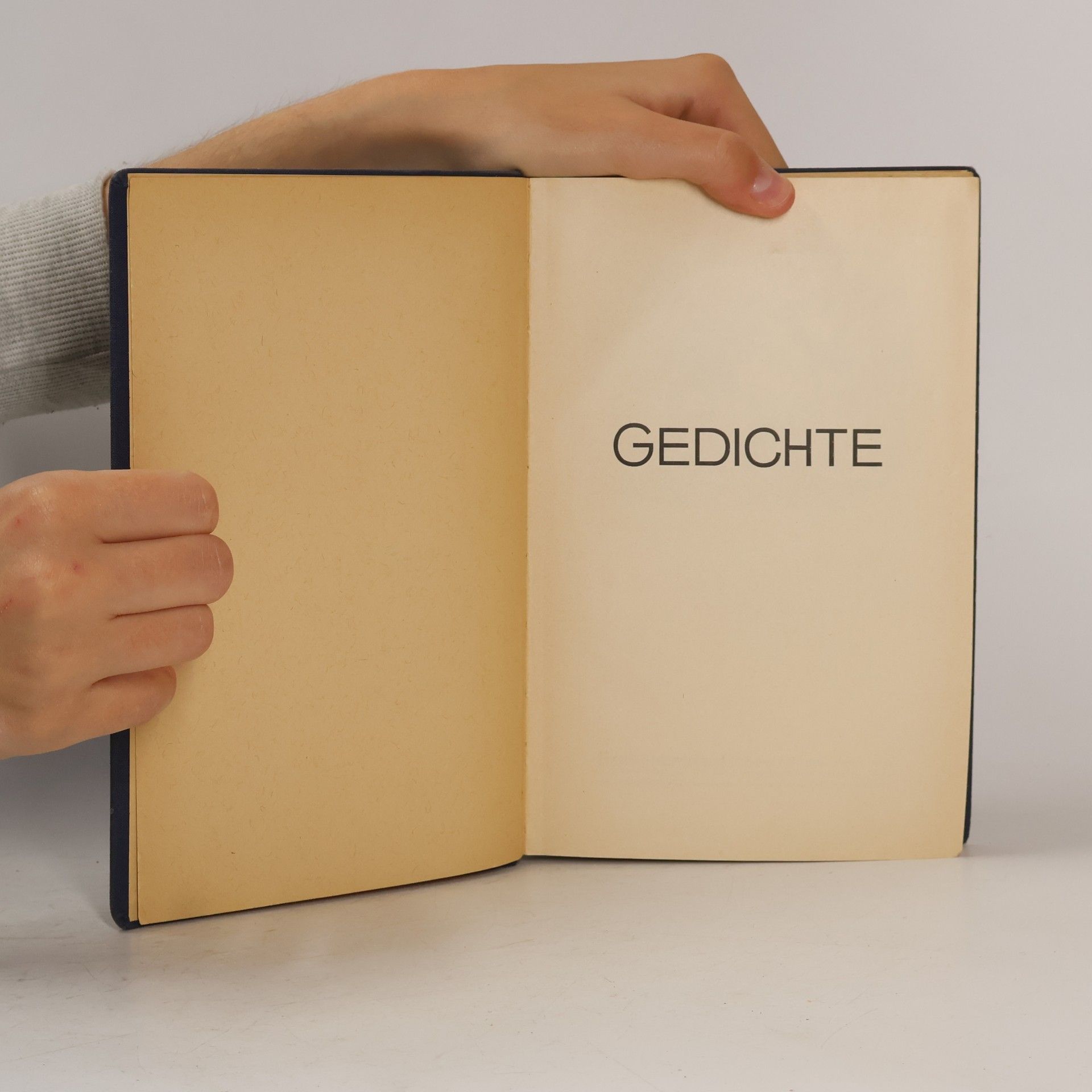 kolektiv Gedichte