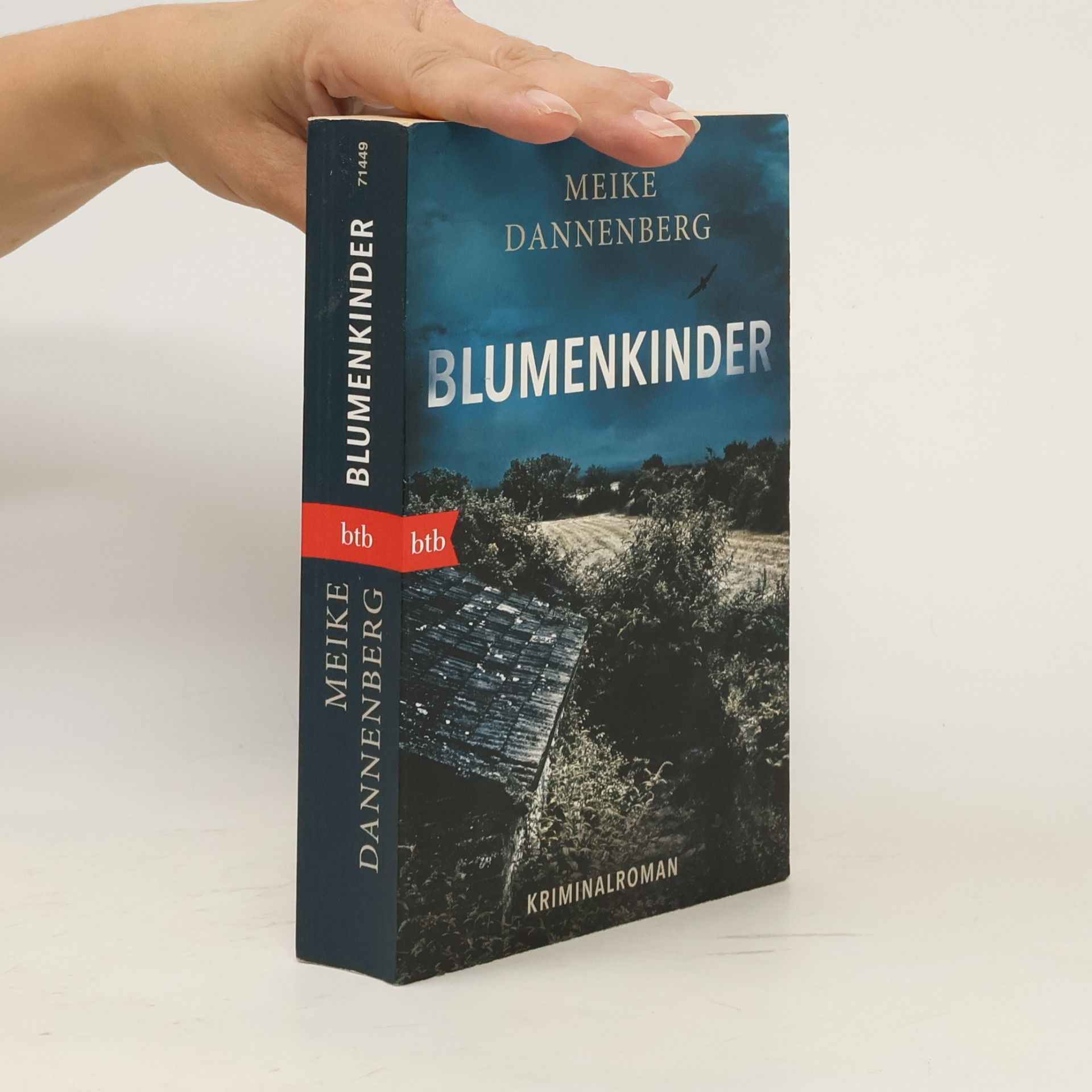 Meike Dannenberg BKA-Sonderermittlerin Nora Klerner - 1: Blumenkinder