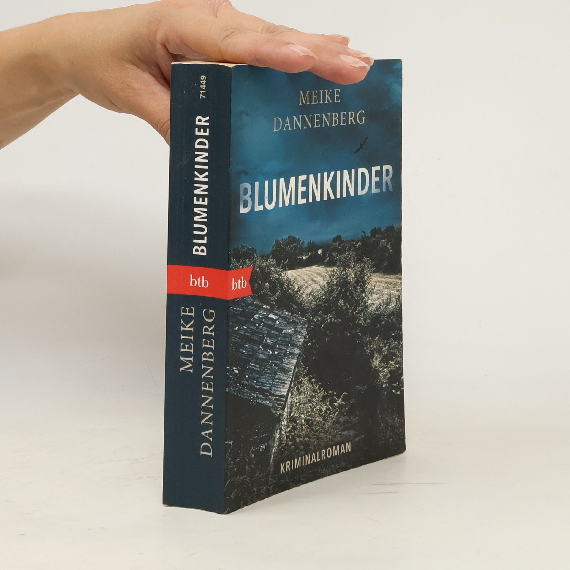 Meike Dannenberg BKA-Sonderermittlerin Nora Klerner - 1: Blumenkinder