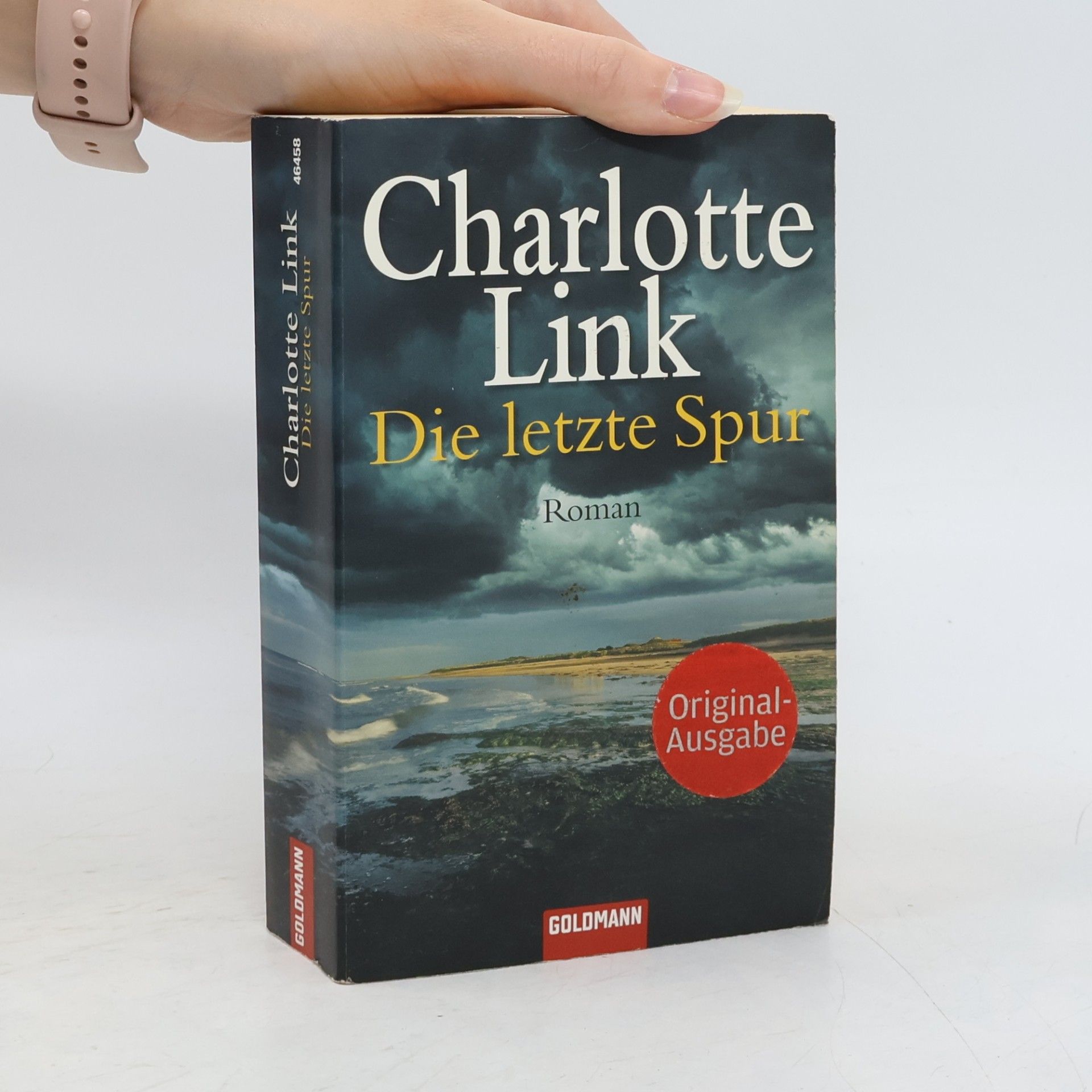 Charlotte Link Die letzte Spur