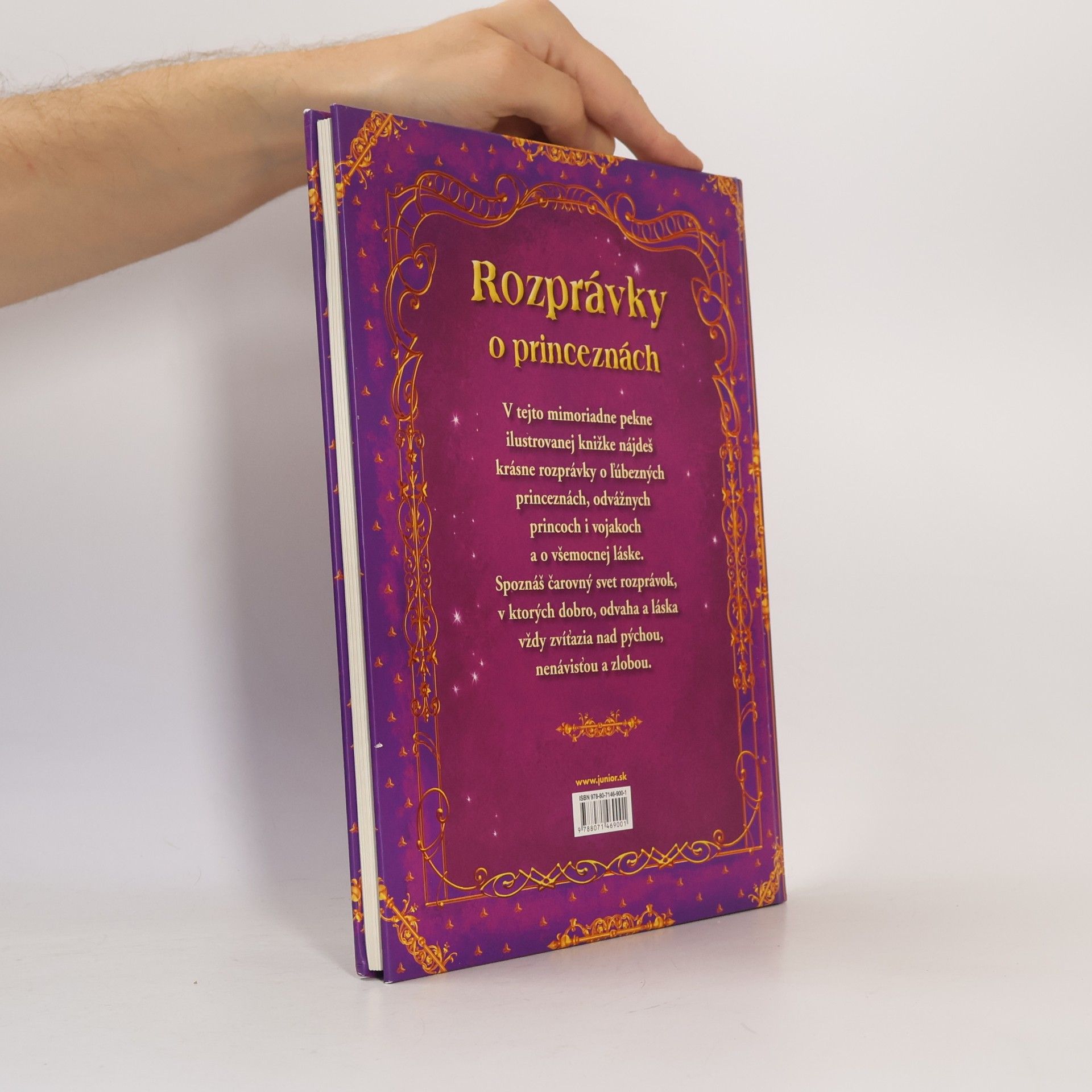 Julia Šetinkinová Rozprávky o princeznách