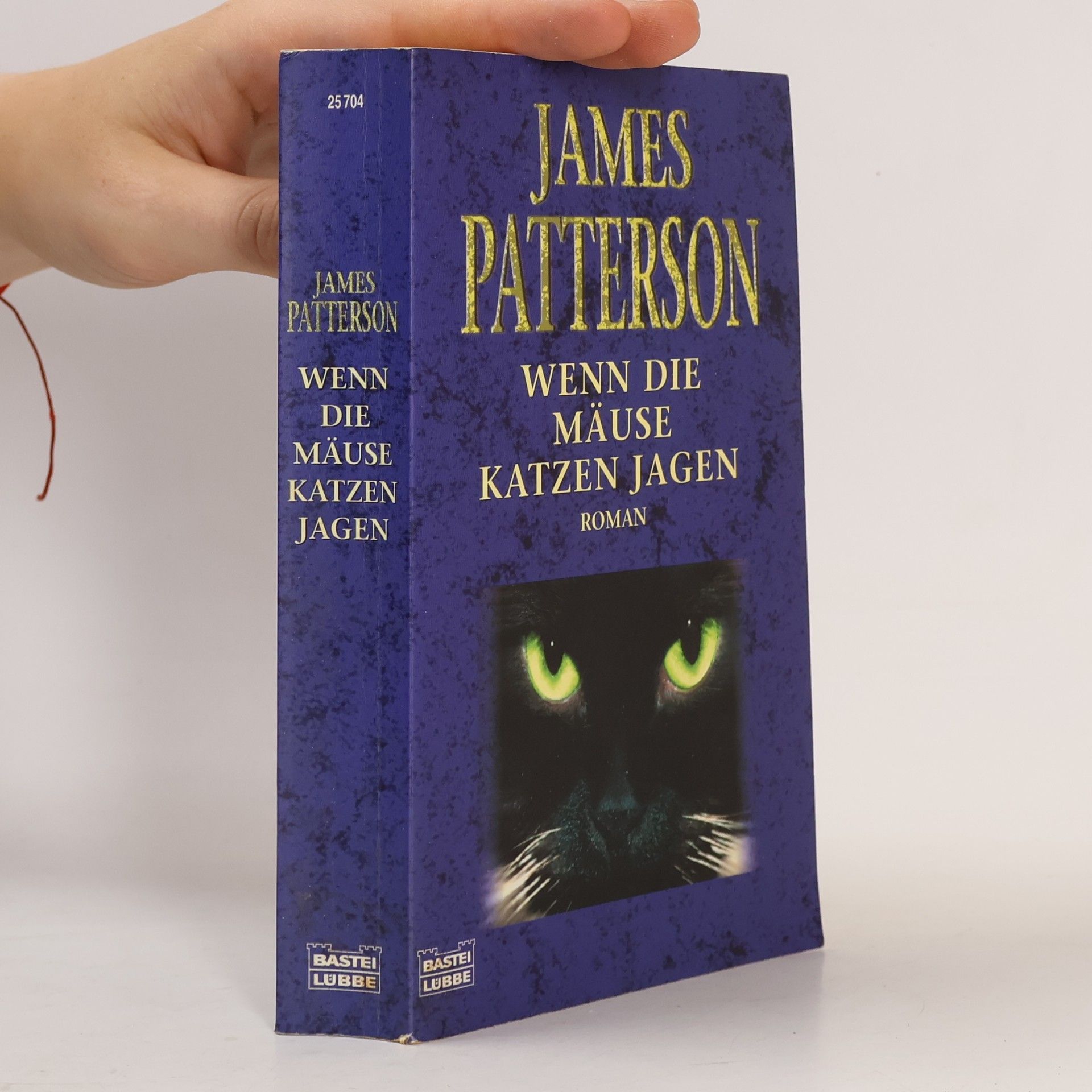 James Patterson Wenn die Mäuse Katzen jagen