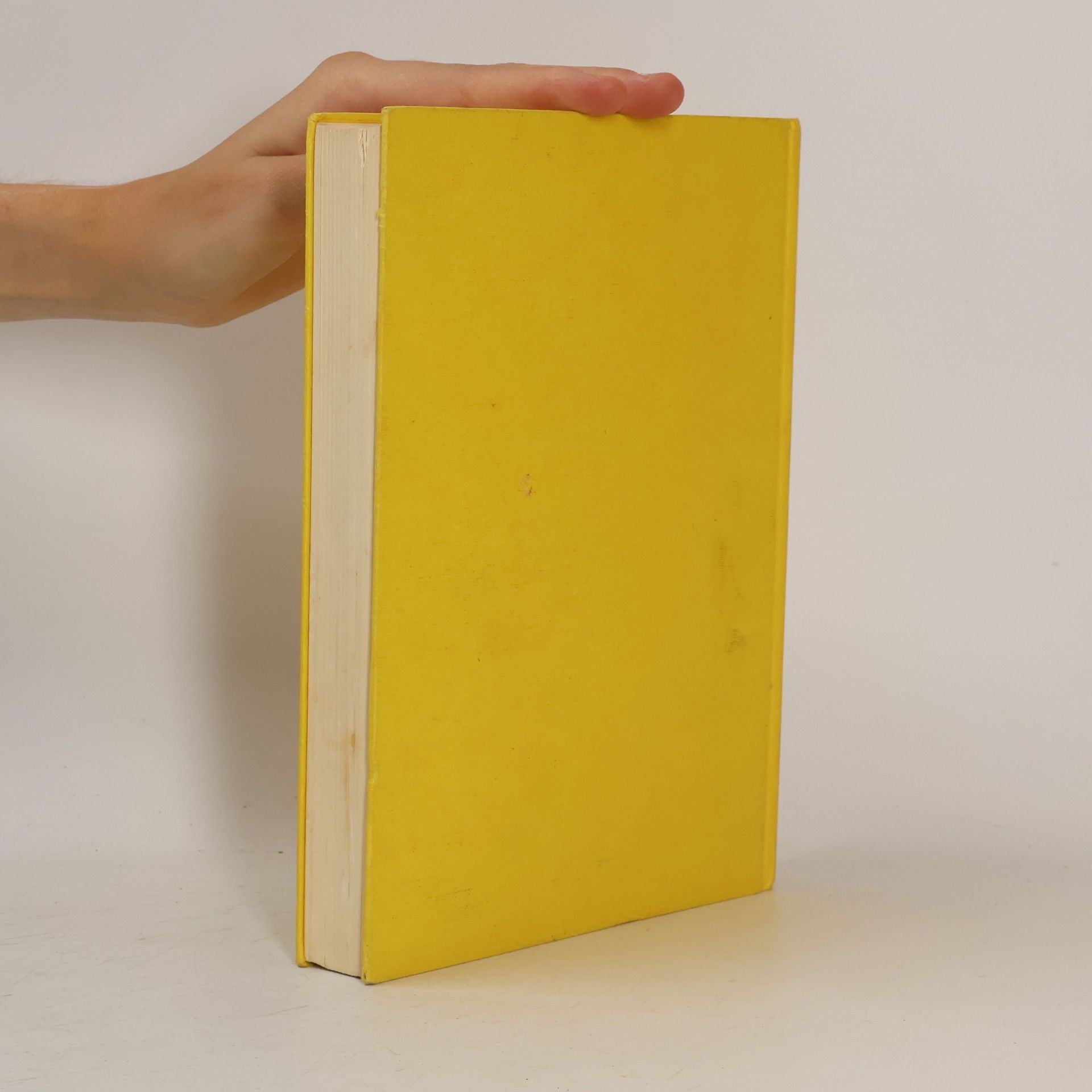 Michael Bond Das grosse Paddington-Buch