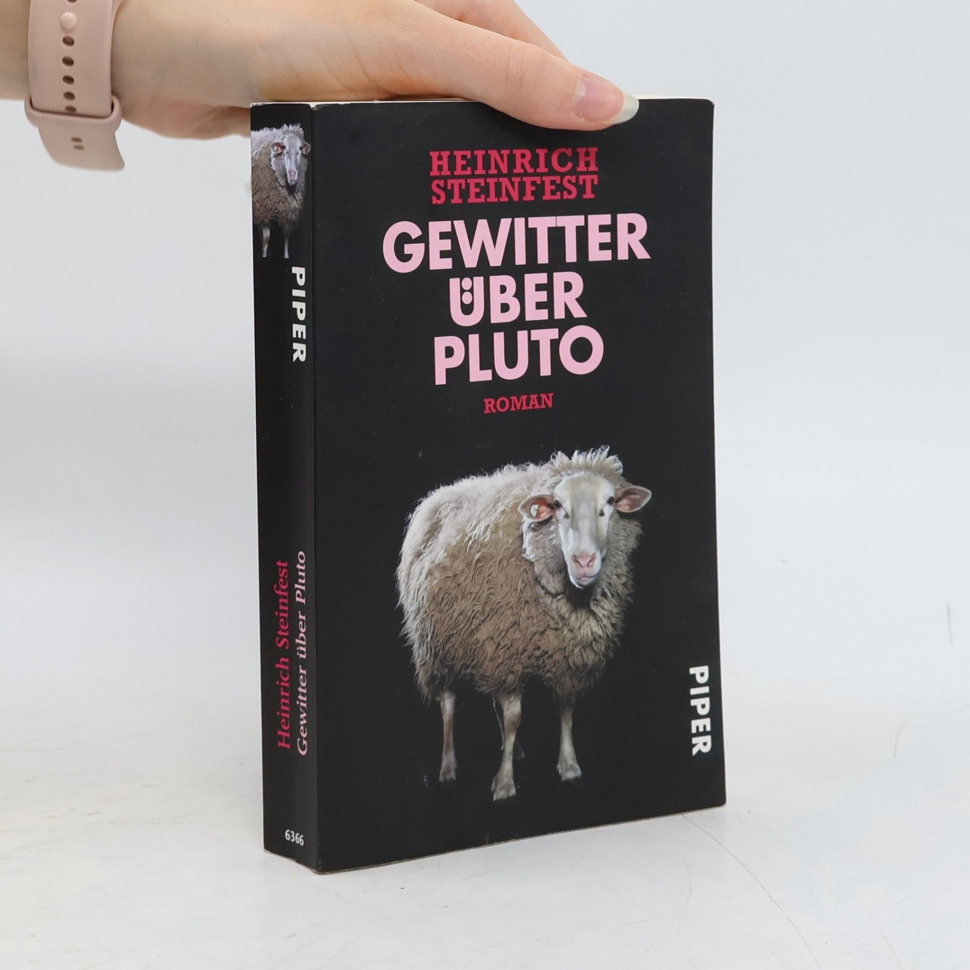 Heinrich Steinfest Gewitter über Pluto