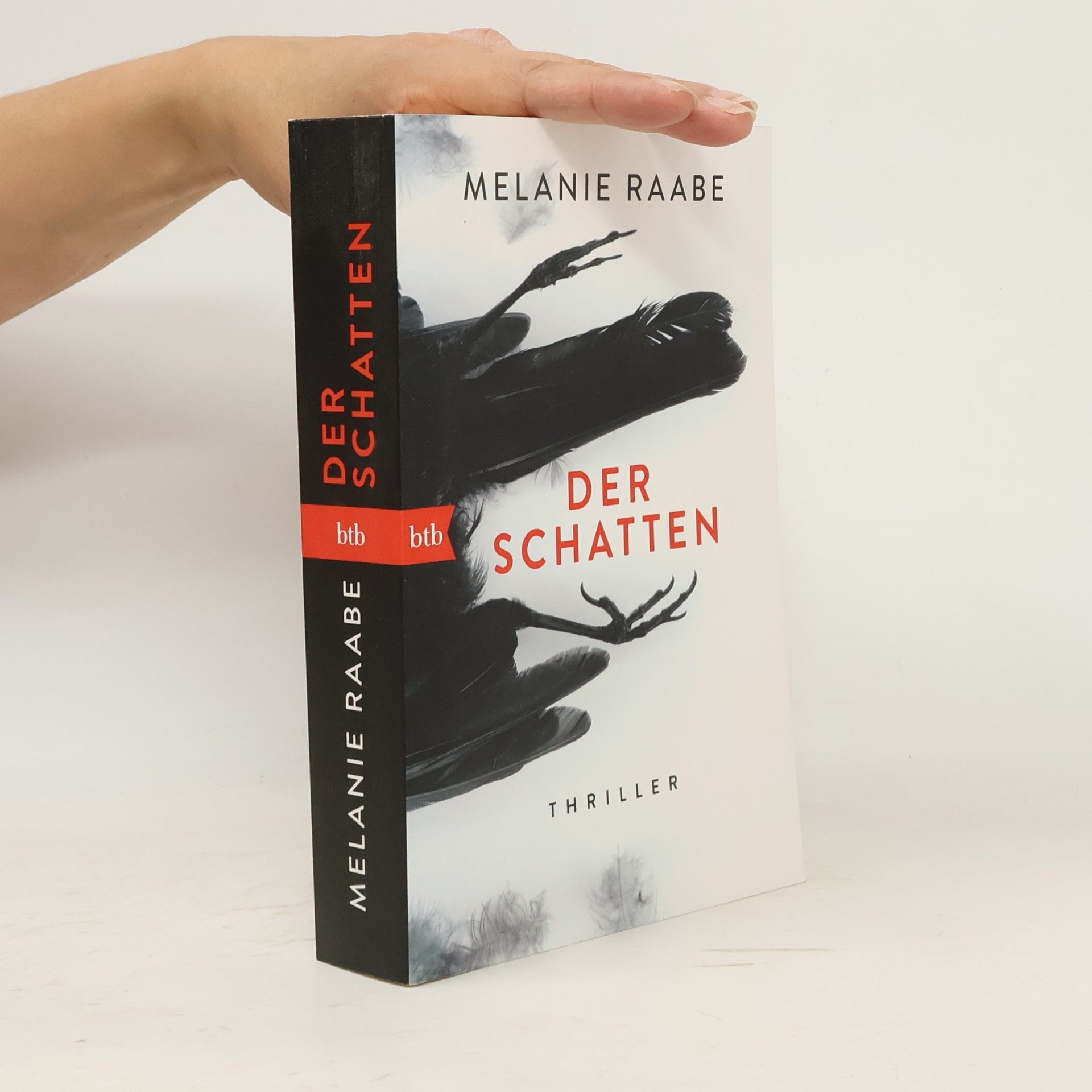Melanie Raabe Der Schatten