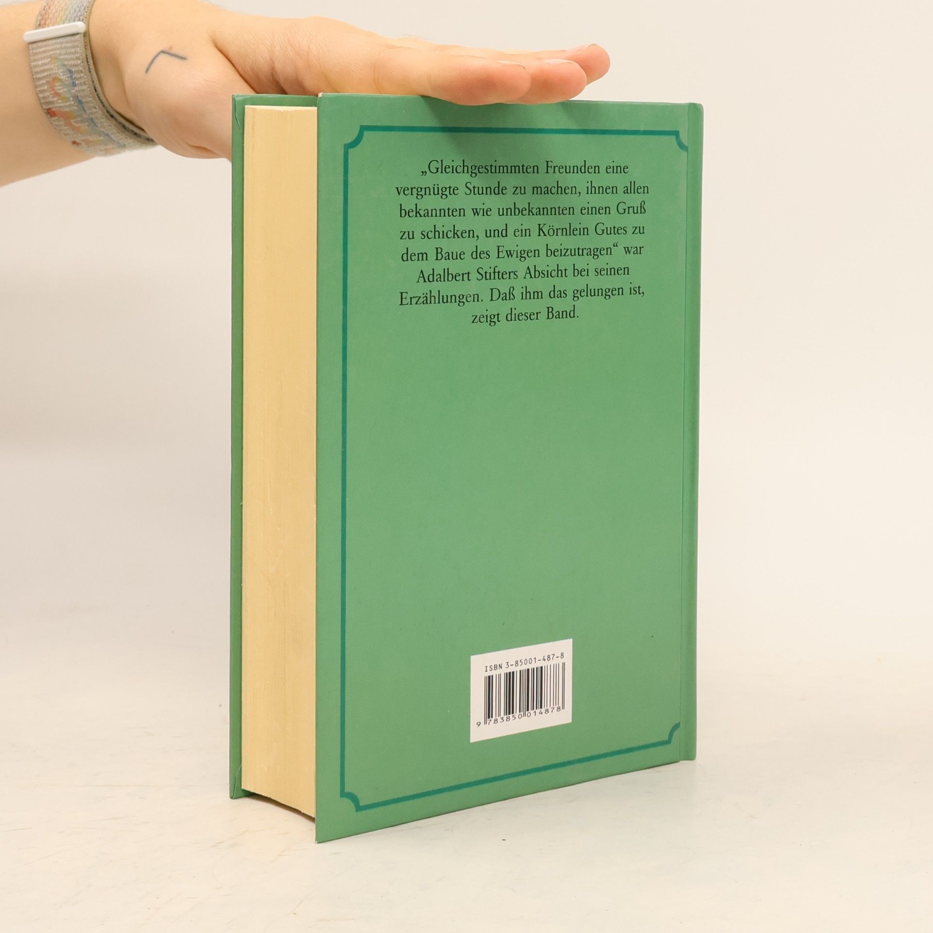 Adalbert Stifter Das grosse Adalbert Stifter Hausbuch
