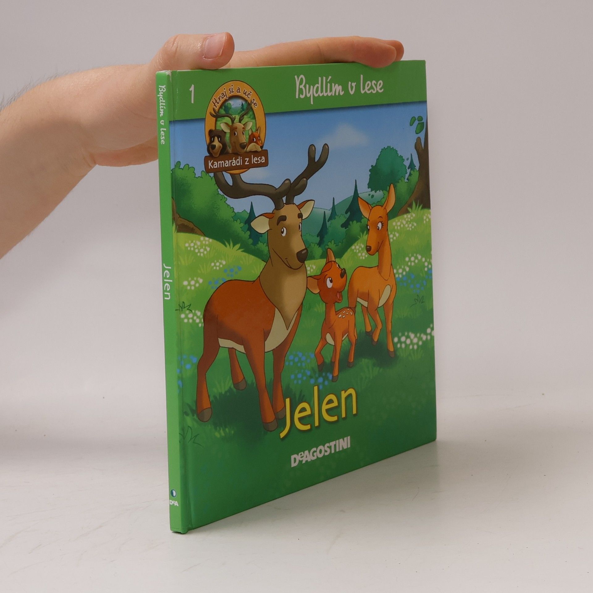 Autorenkollektiv Bydlím v lese. Jelen