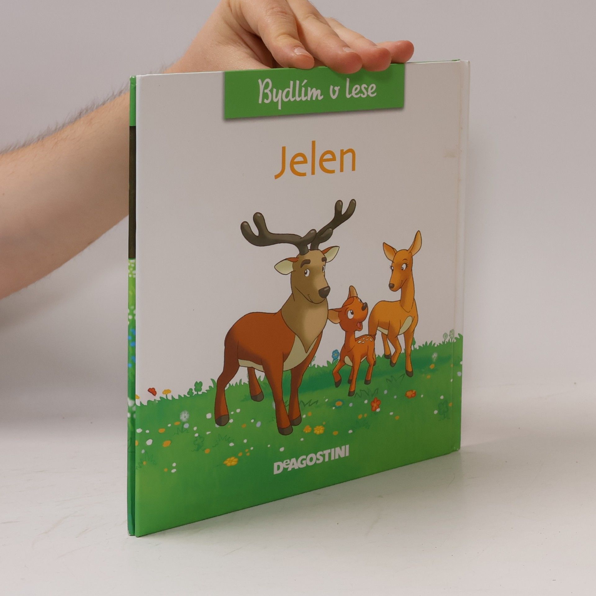 Autorenkollektiv Bydlím v lese. Jelen