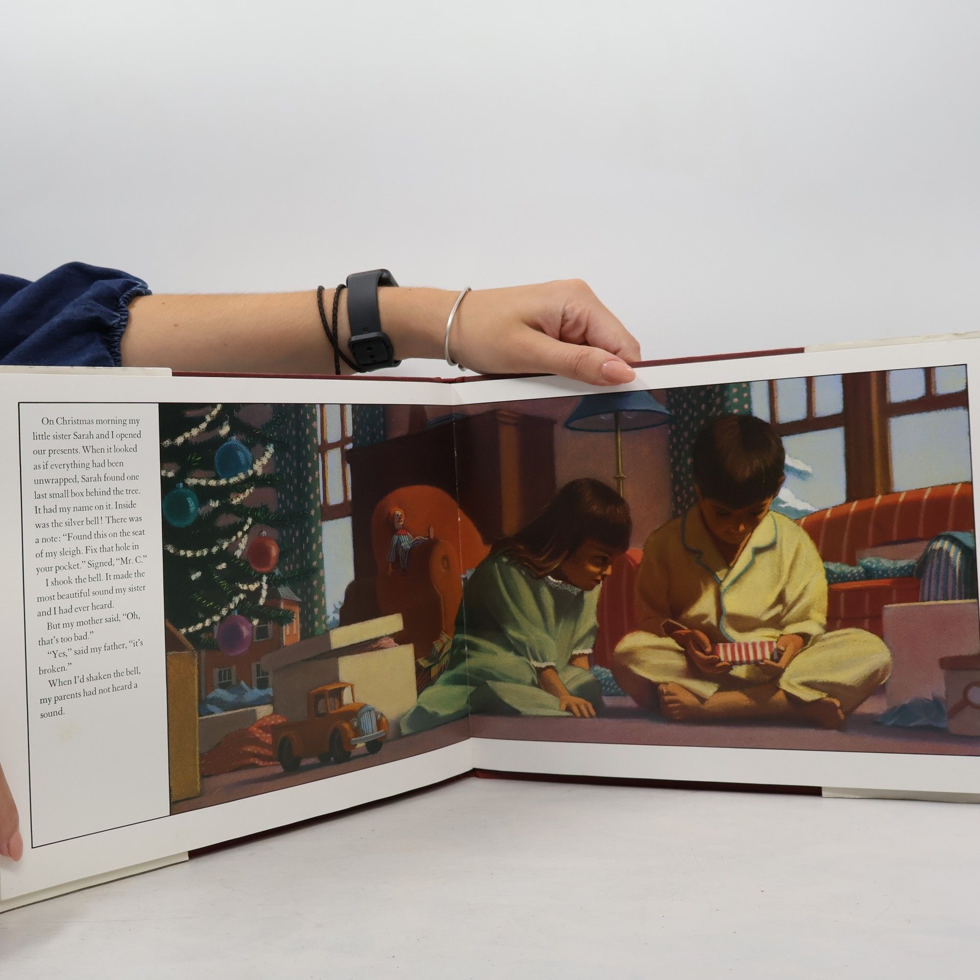 Chris Van Allsburg The Polar Express
