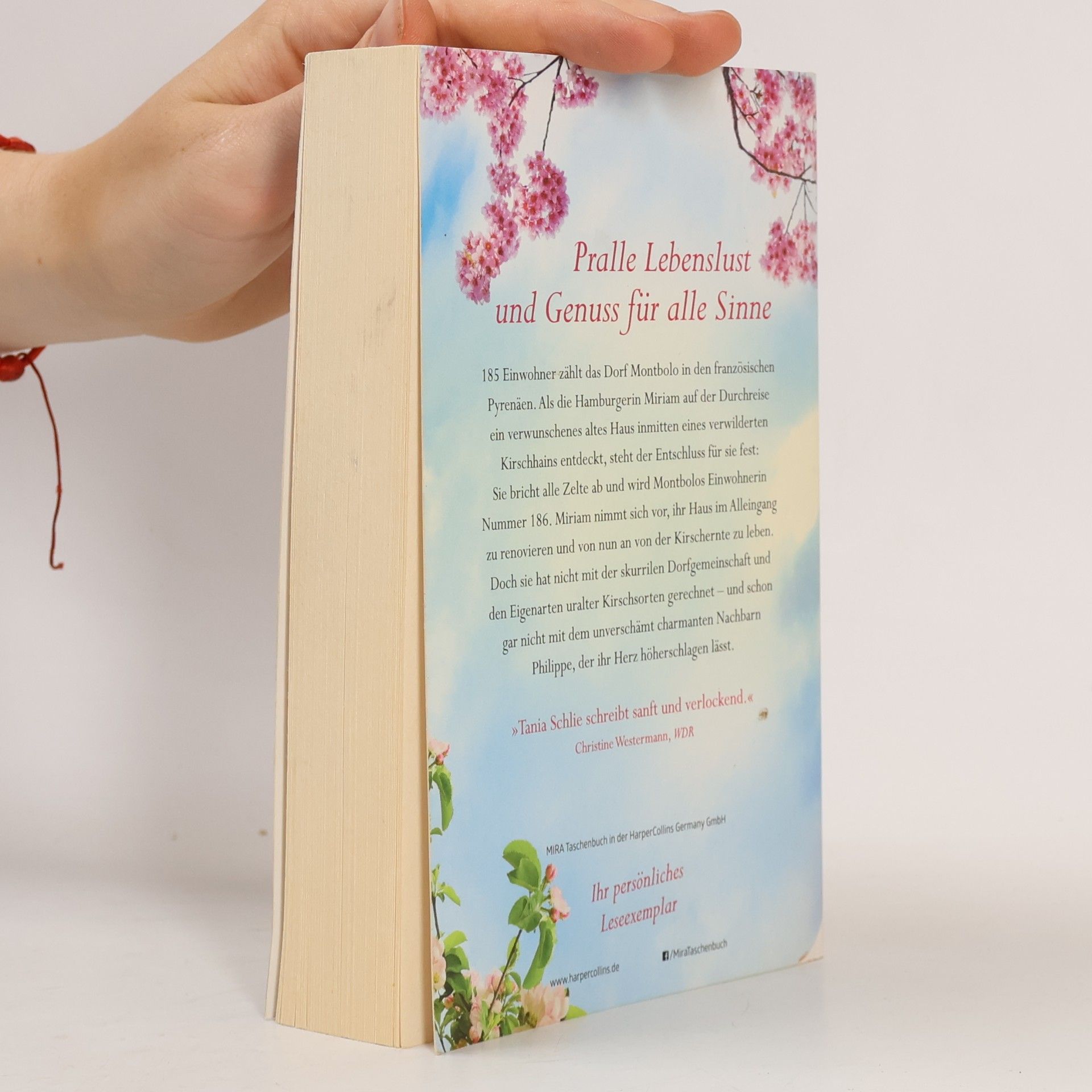Tania Schlie Die Kirschen der Madame Richard