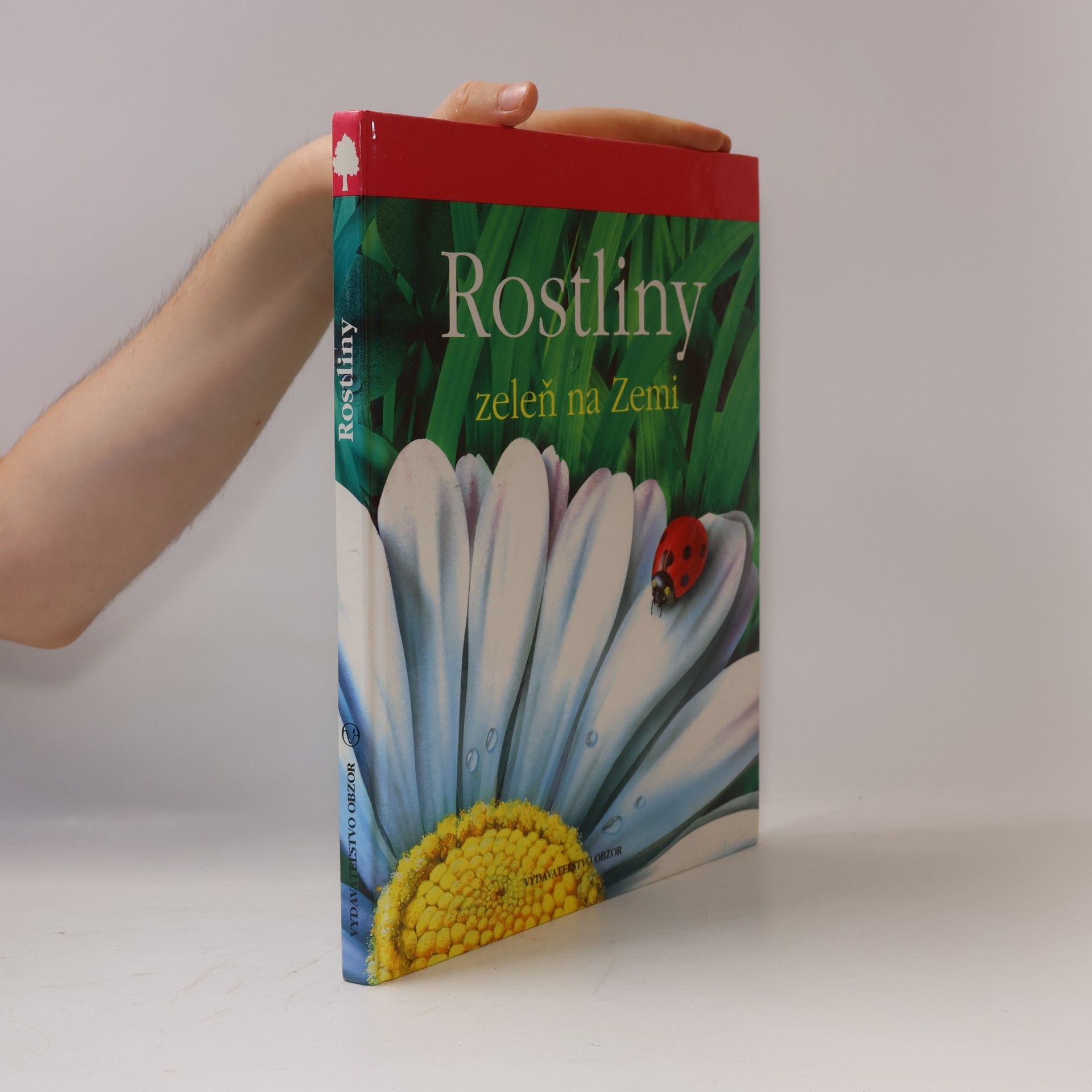 Lucia Benedittiová Rostliny. Zeleň na zemi