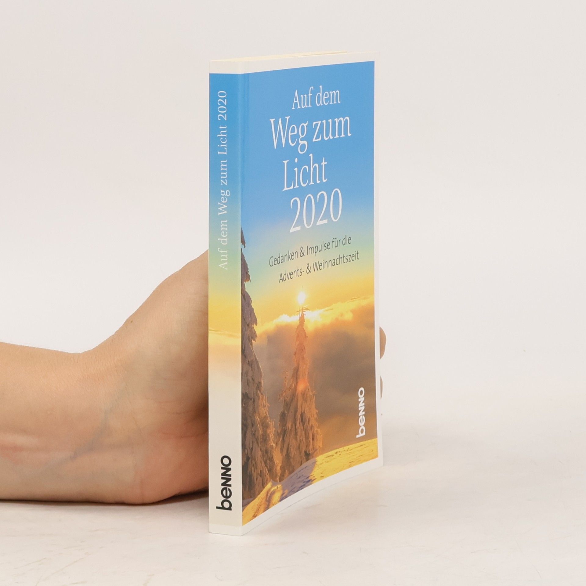 Bettine Reichelt Auf dem Weg zum Licht 2020