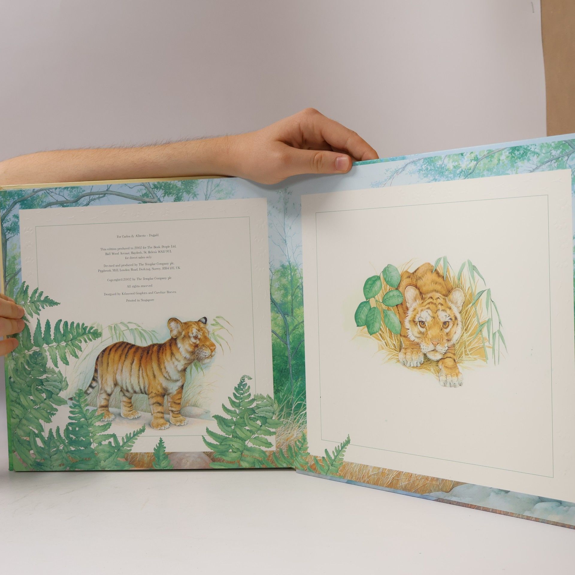Dugald Steer Tale of a Tiger