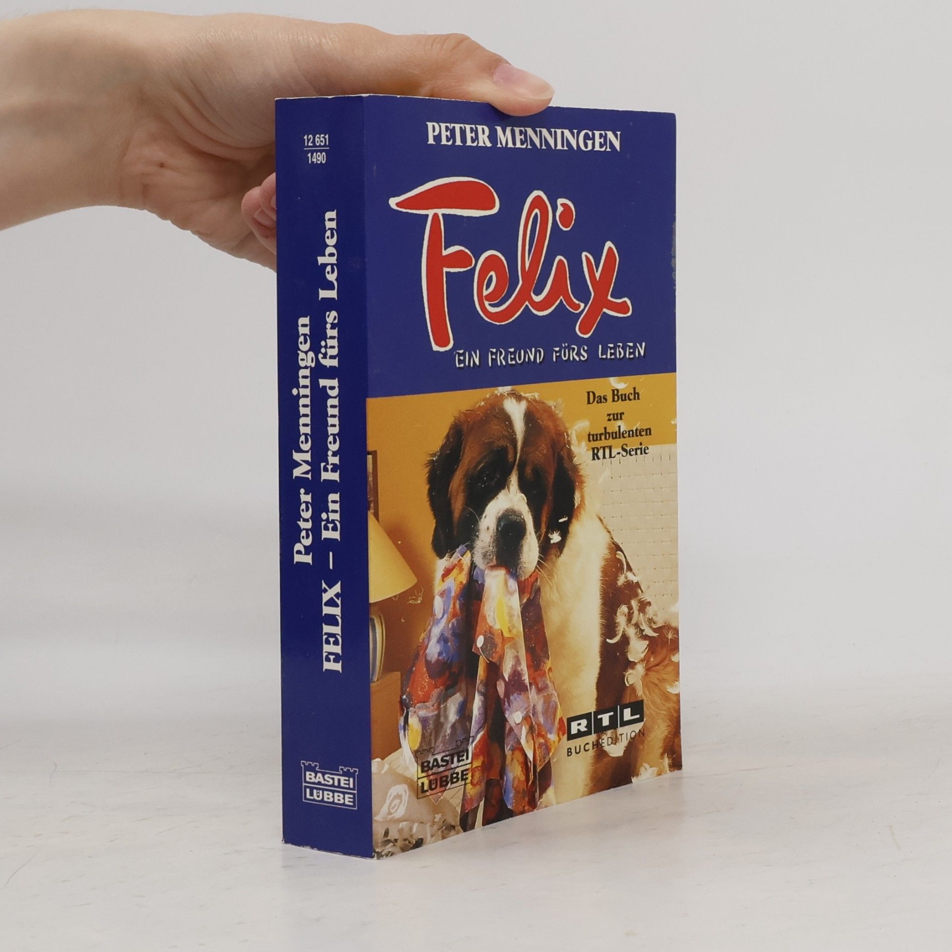 Peter Menningen Felix, ein Freund fürs Leben. Roman zur Fernsehserie