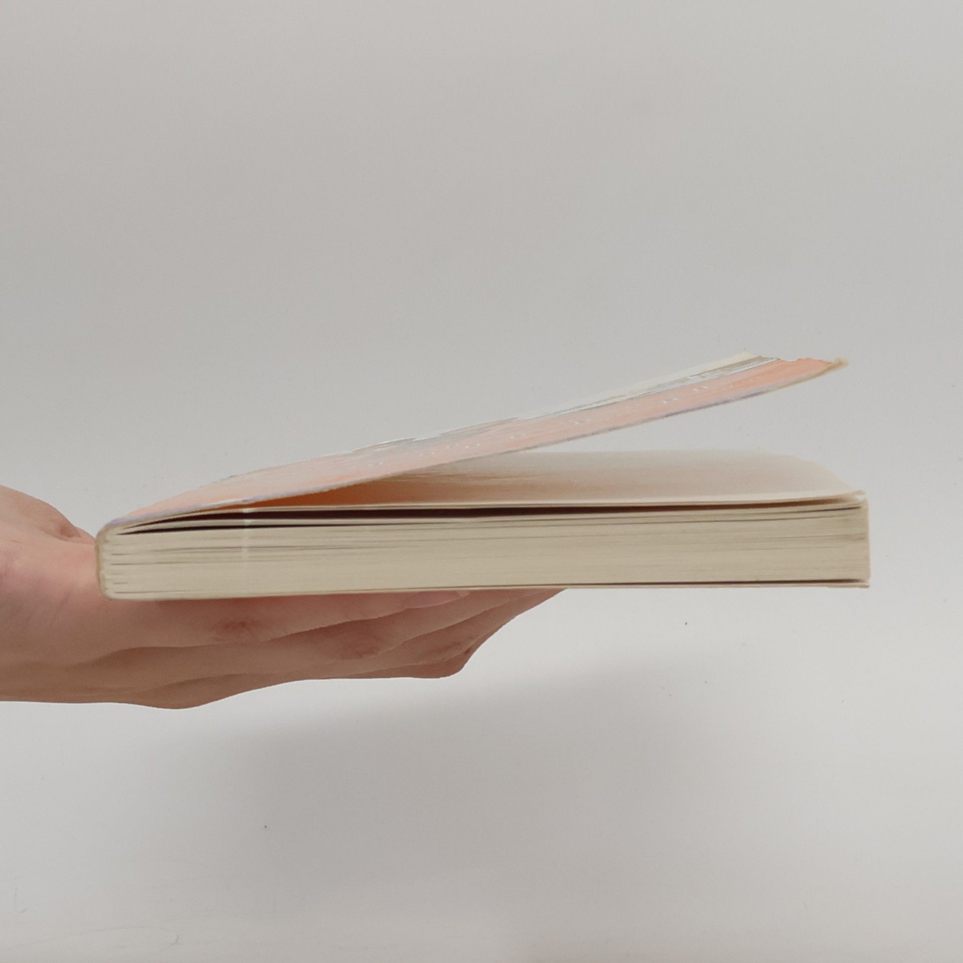 Various authors Guida ai Spacci e Outlet di Veneto, Friuli Venezia Giulia, Trentino Alto Adige