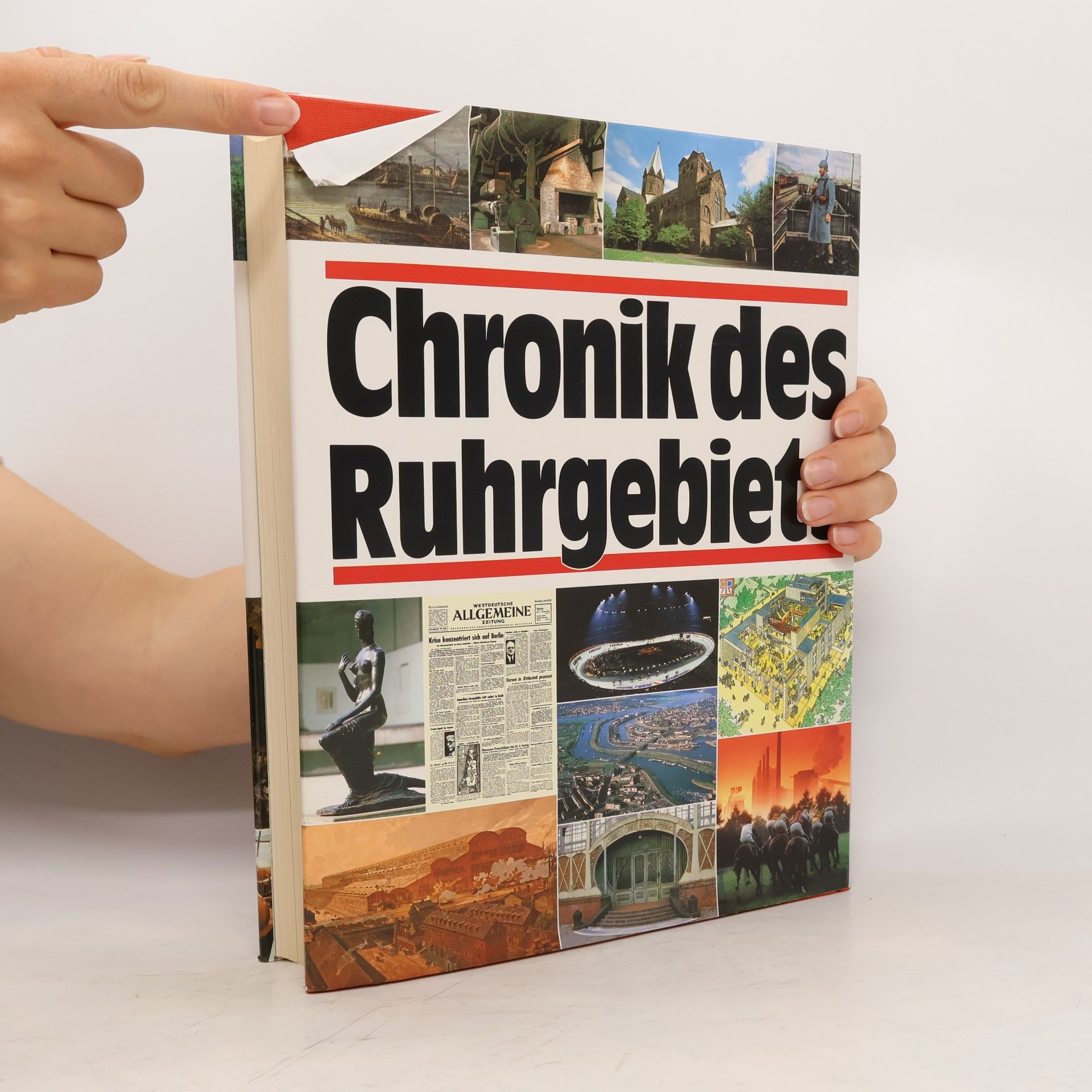 Bodo Harenberg Chronik des Ruhrgebiets
