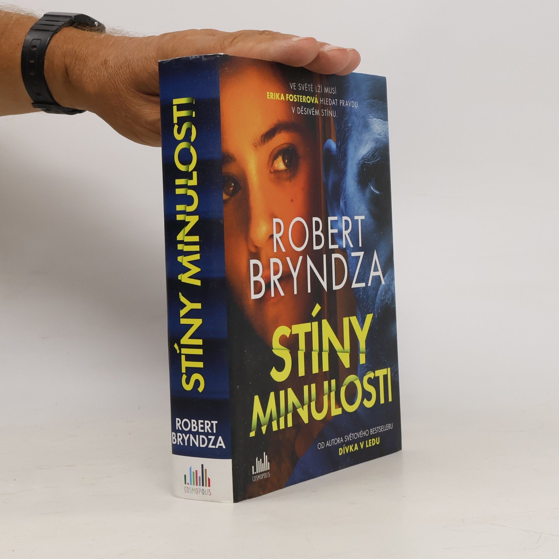 Robert Bryndza Stíny minulosti