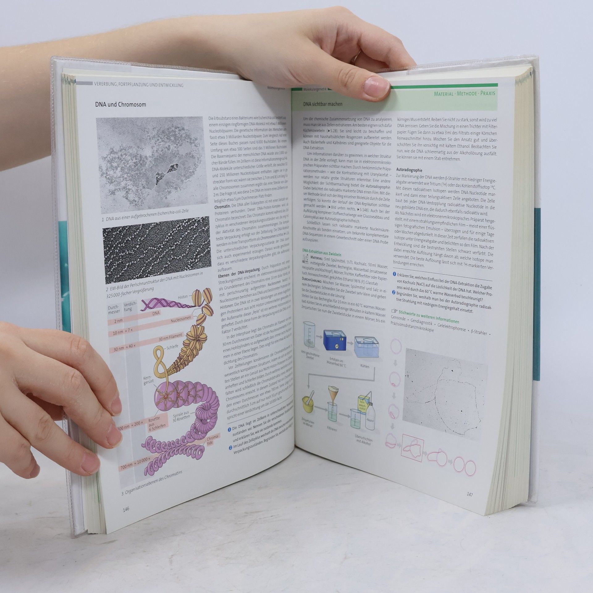 kolektiv Biologie - Oberstufe