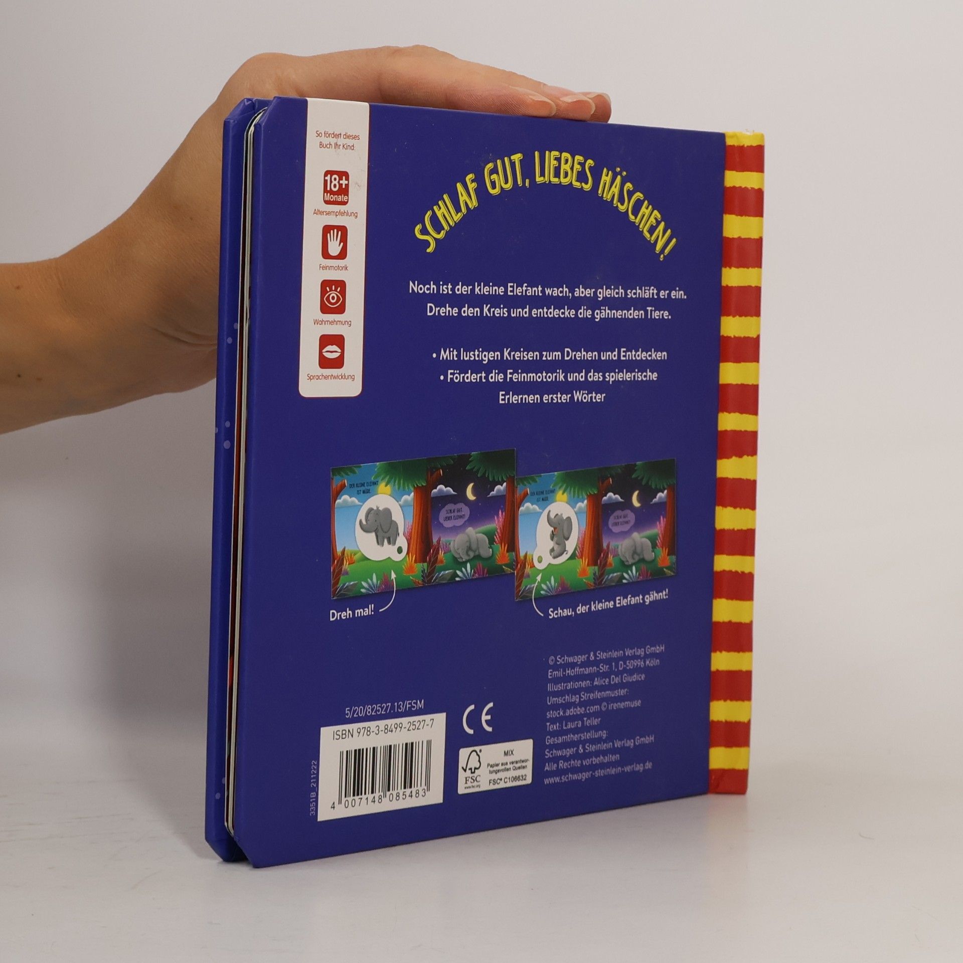 Autores varios Schlaf gut, liebes Häschen!