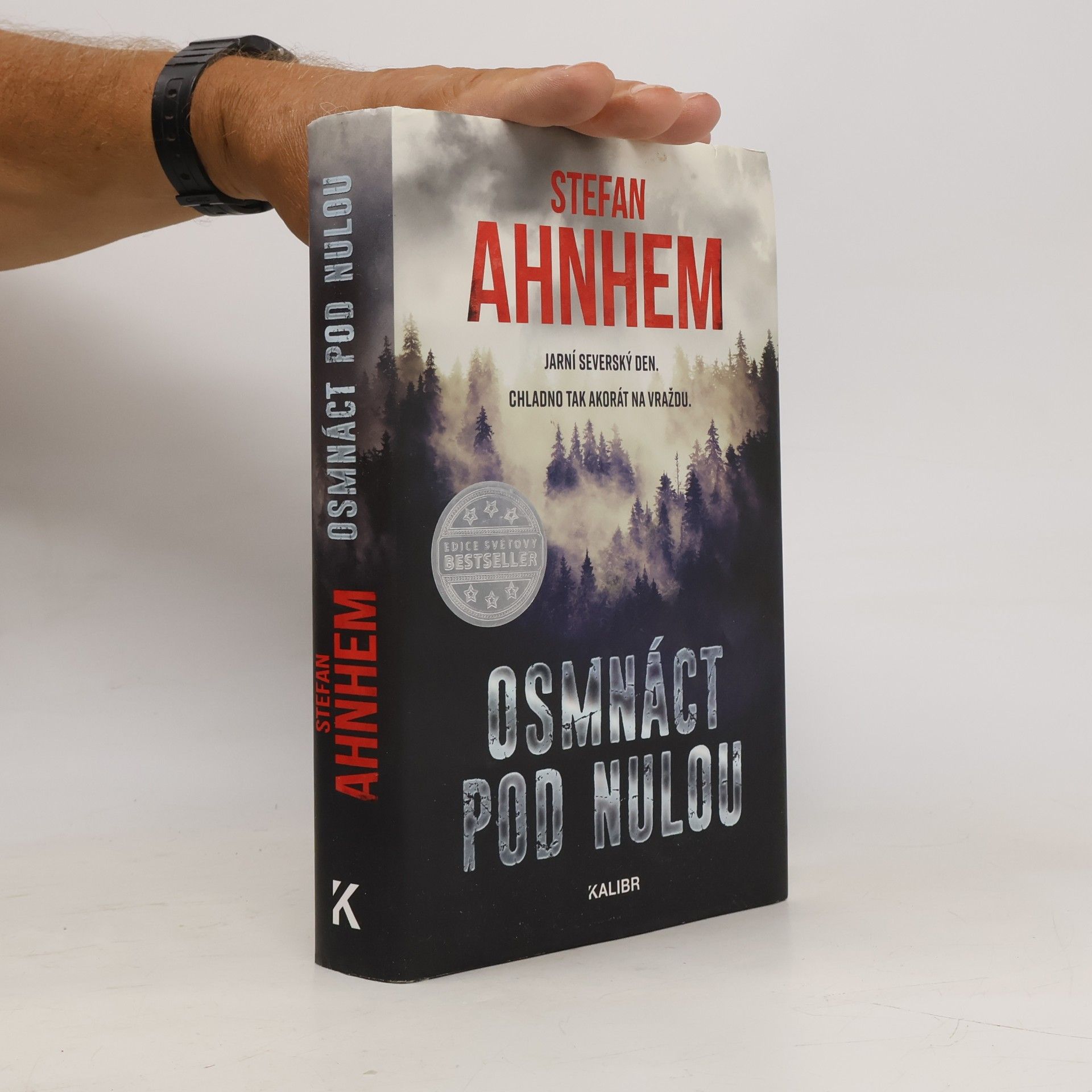 Stefan Ahnhem Osmnáct pod nulou