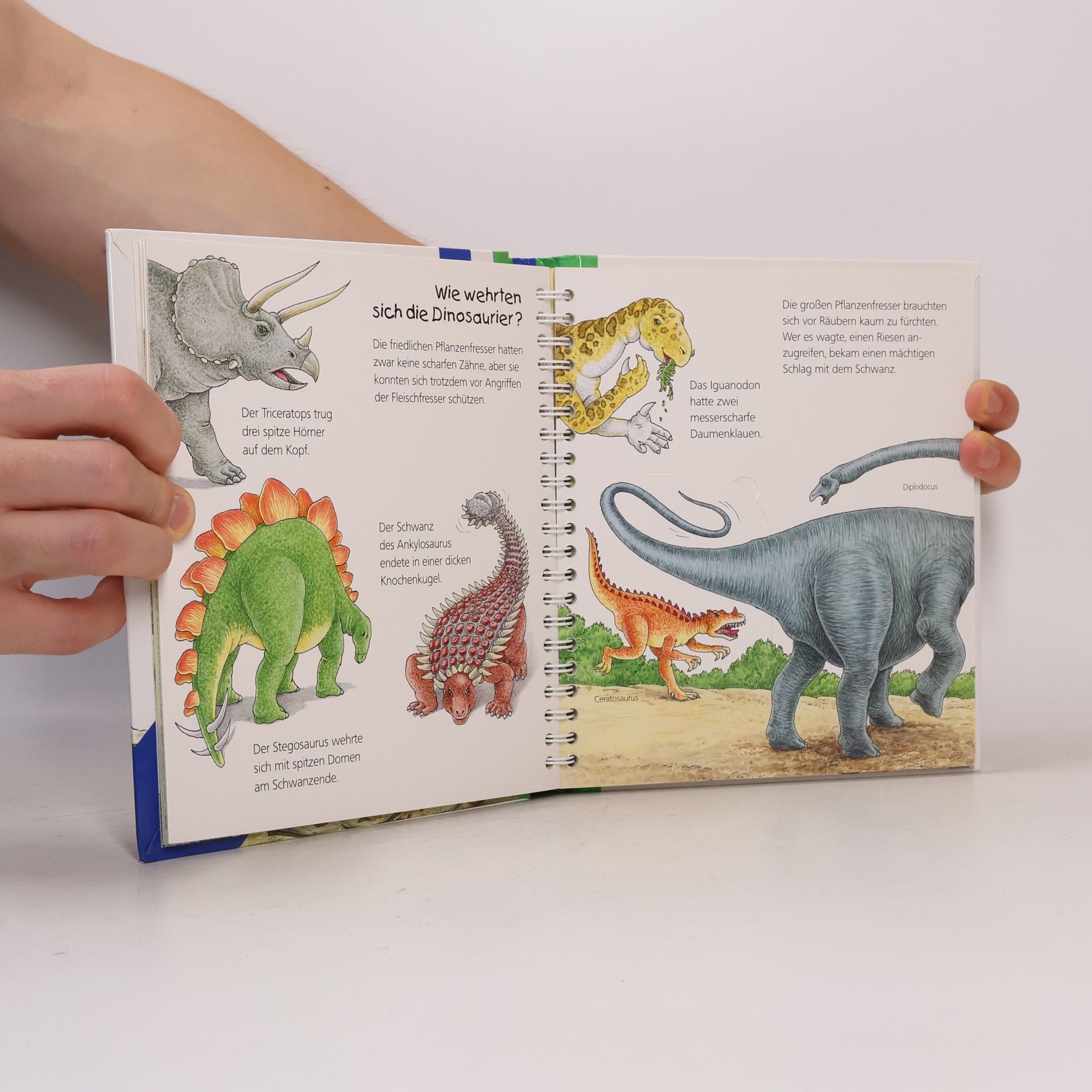 Angela Weinhold Die Dinosaurier