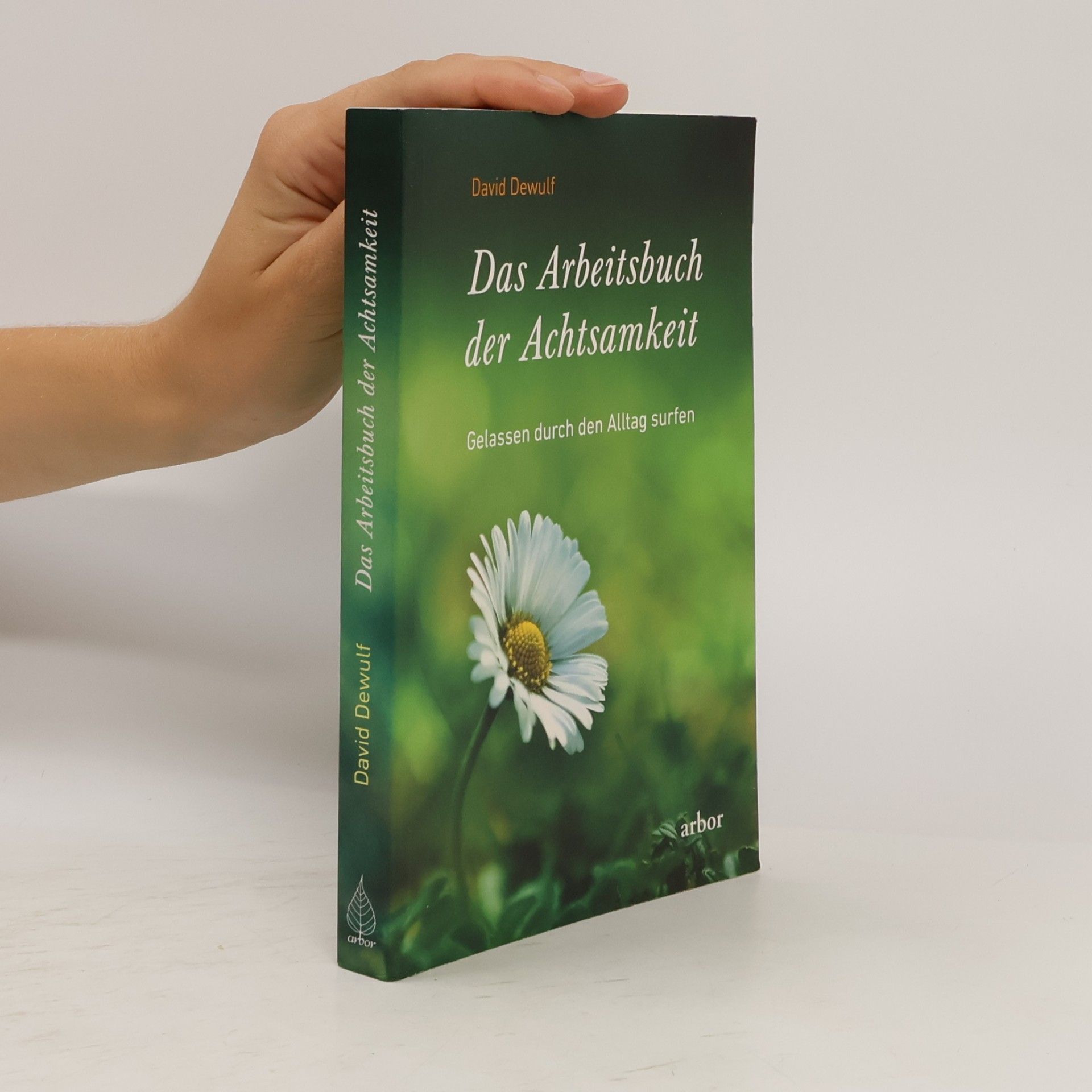 David Dewulf Das Arbeitsbuch der Achtsamkeit