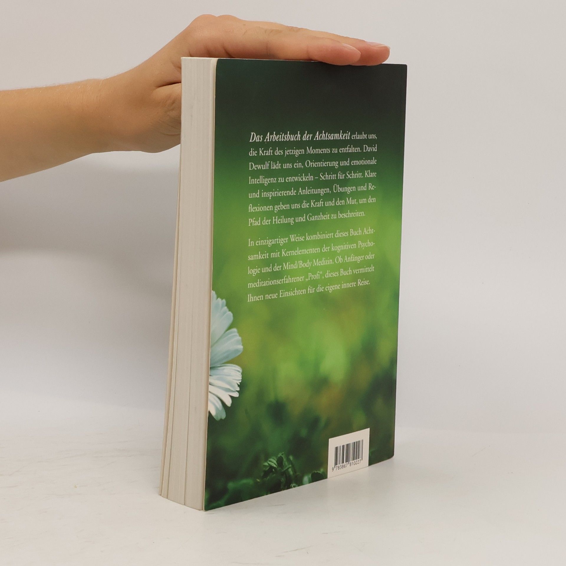 David Dewulf Das Arbeitsbuch der Achtsamkeit