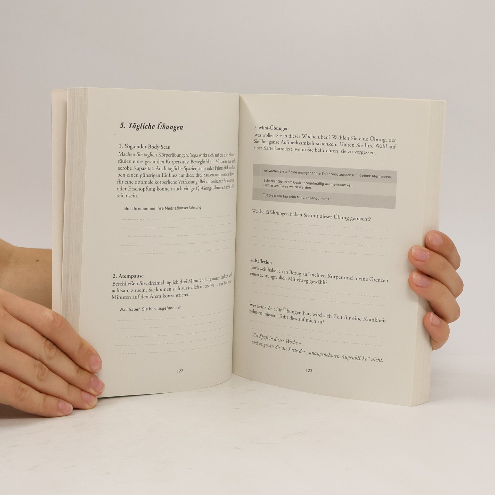 David Dewulf Das Arbeitsbuch der Achtsamkeit