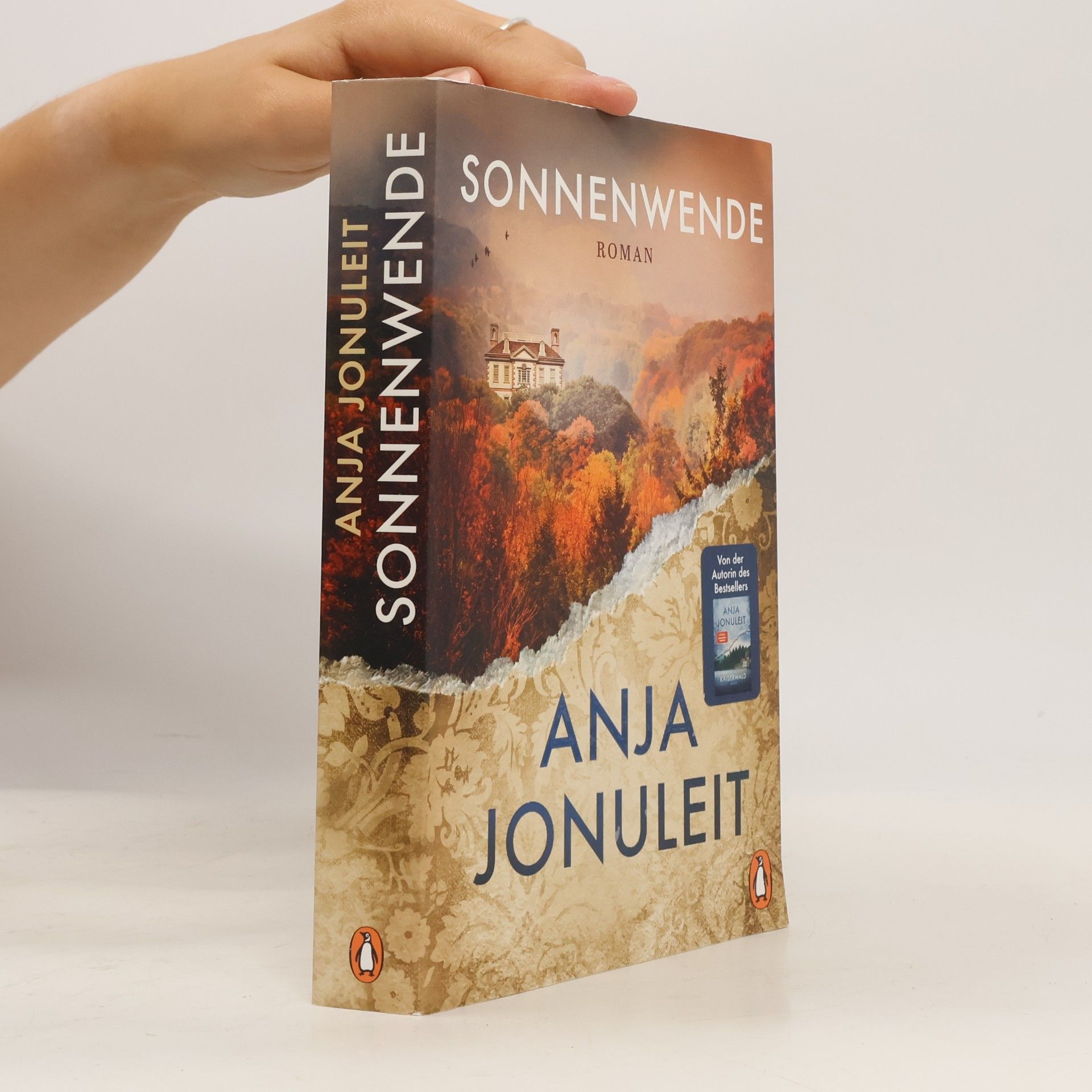 Anja Jonuleit Sonnenwende