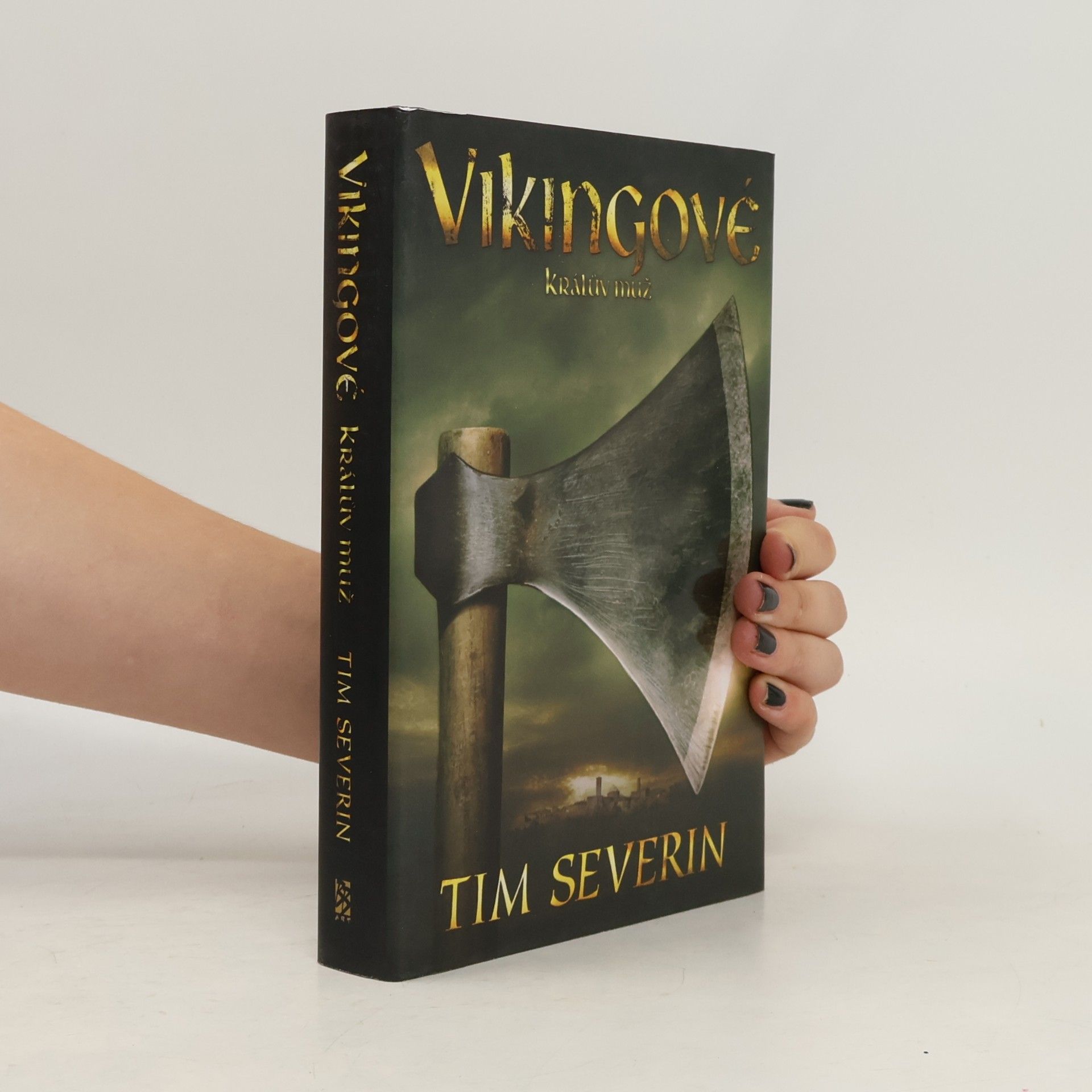 Tim Severin Vikingové 3. Králův muž
