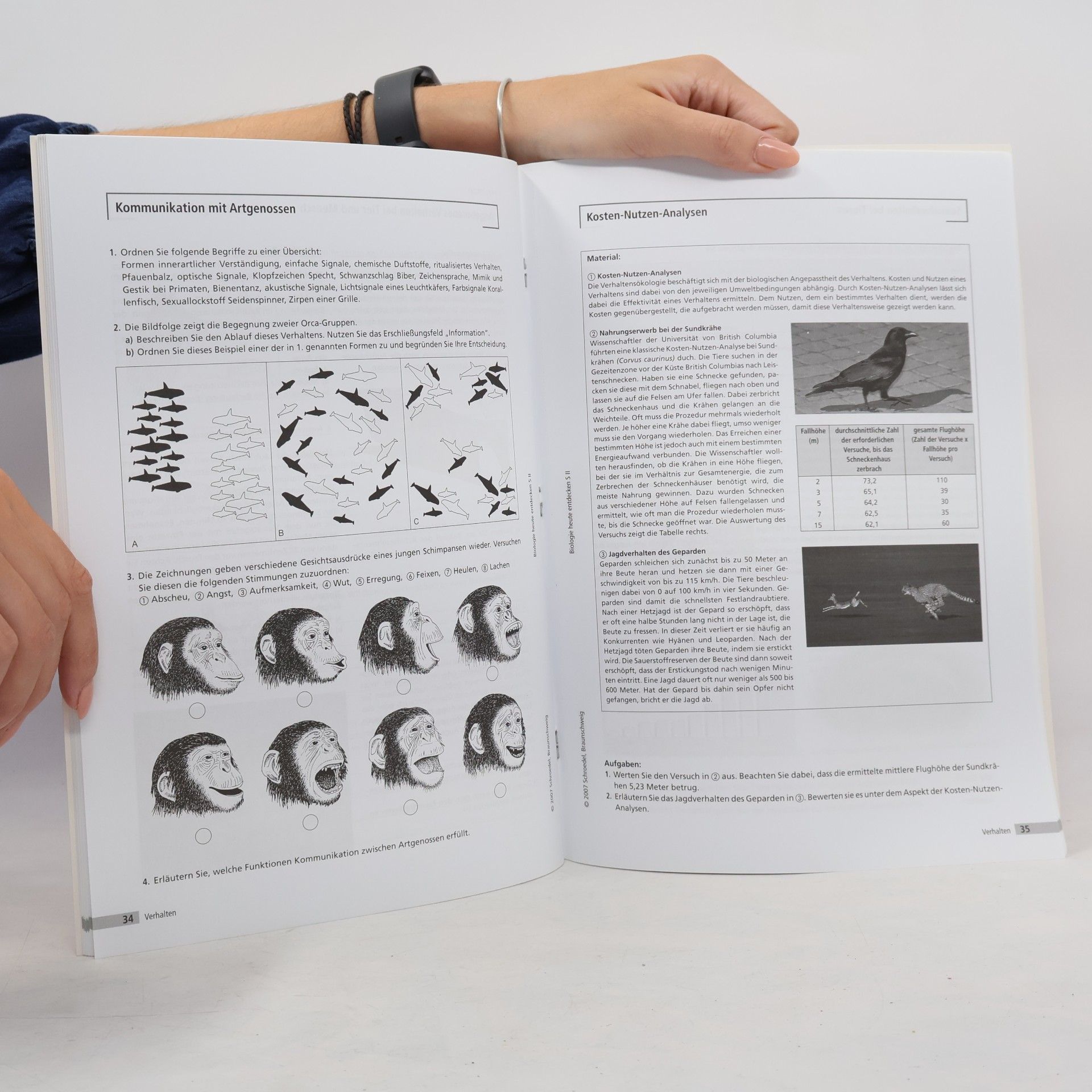 Autorenkollektiv Immunbiologie, Neurophysiologie, Verhalten, Evolution, Arbeitsheft