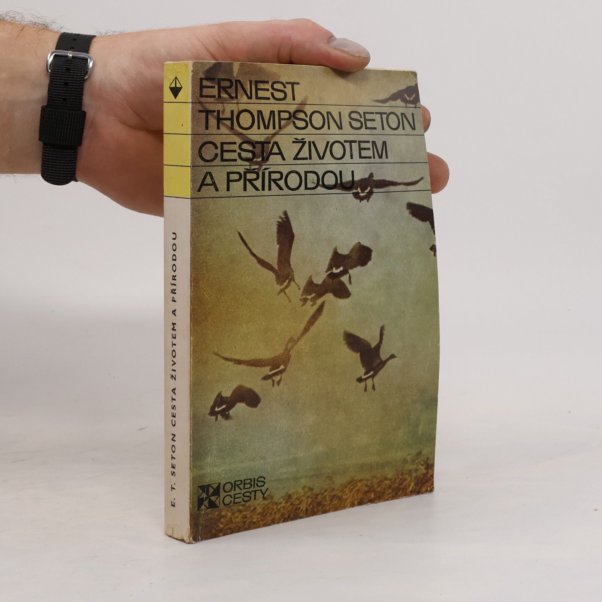 Ernest Thompson Seton Cesta životem a přírodou