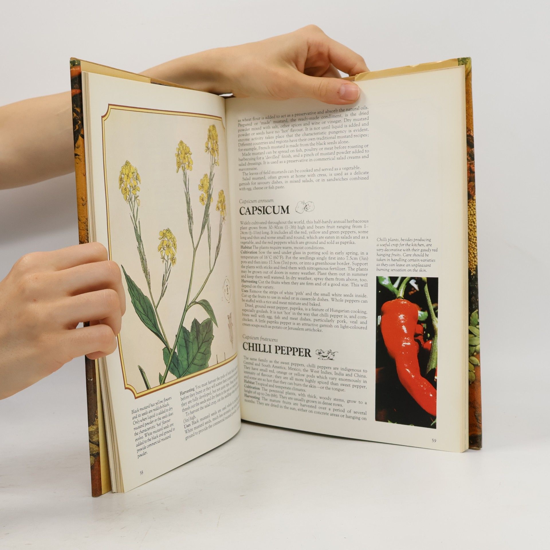 Pamela Westland The Encyclopedia of Spices