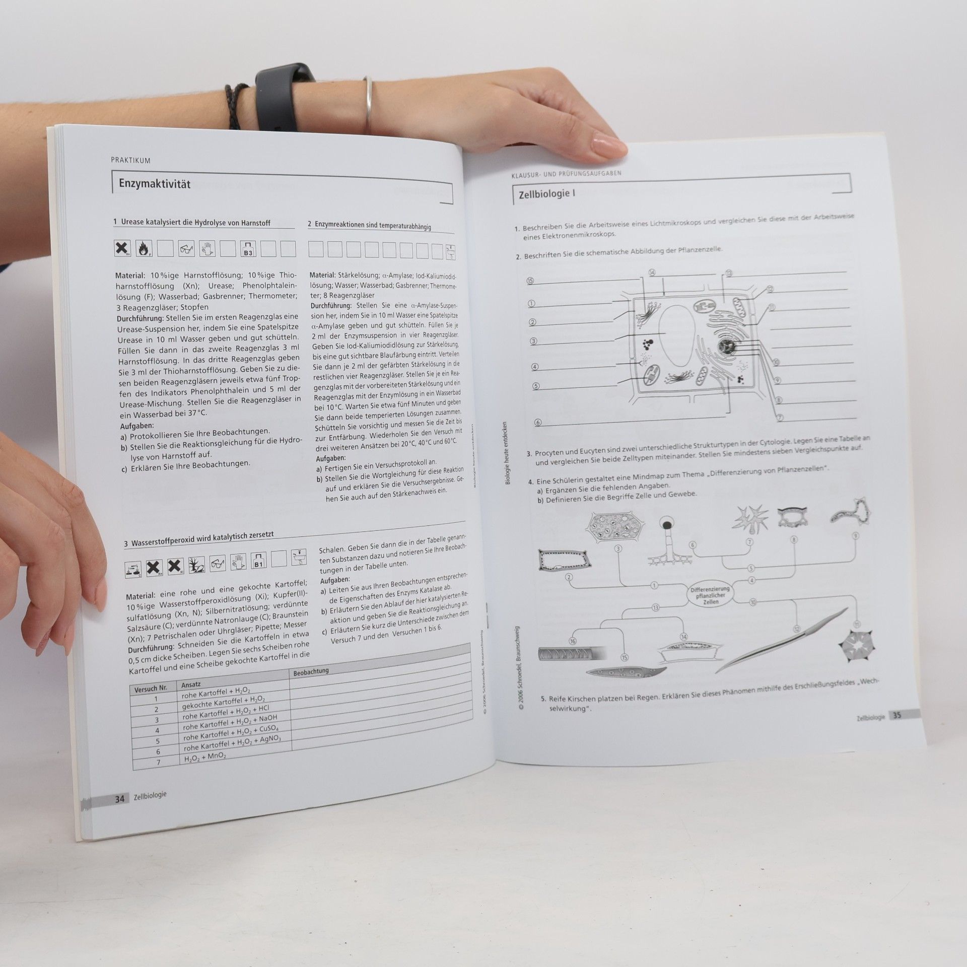 Antje Starke Zellbiologie / Stoffwechsel, Arbeitsheft