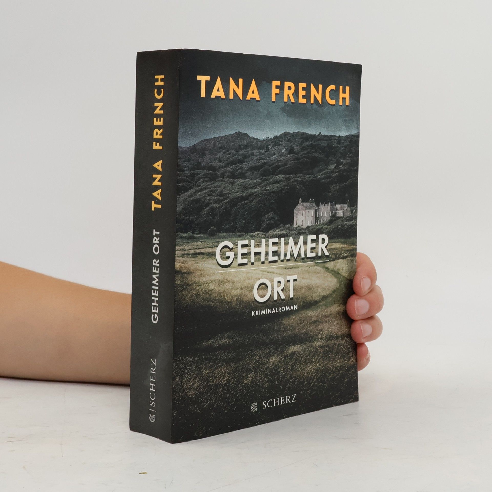 Tana French Geheimer Ort