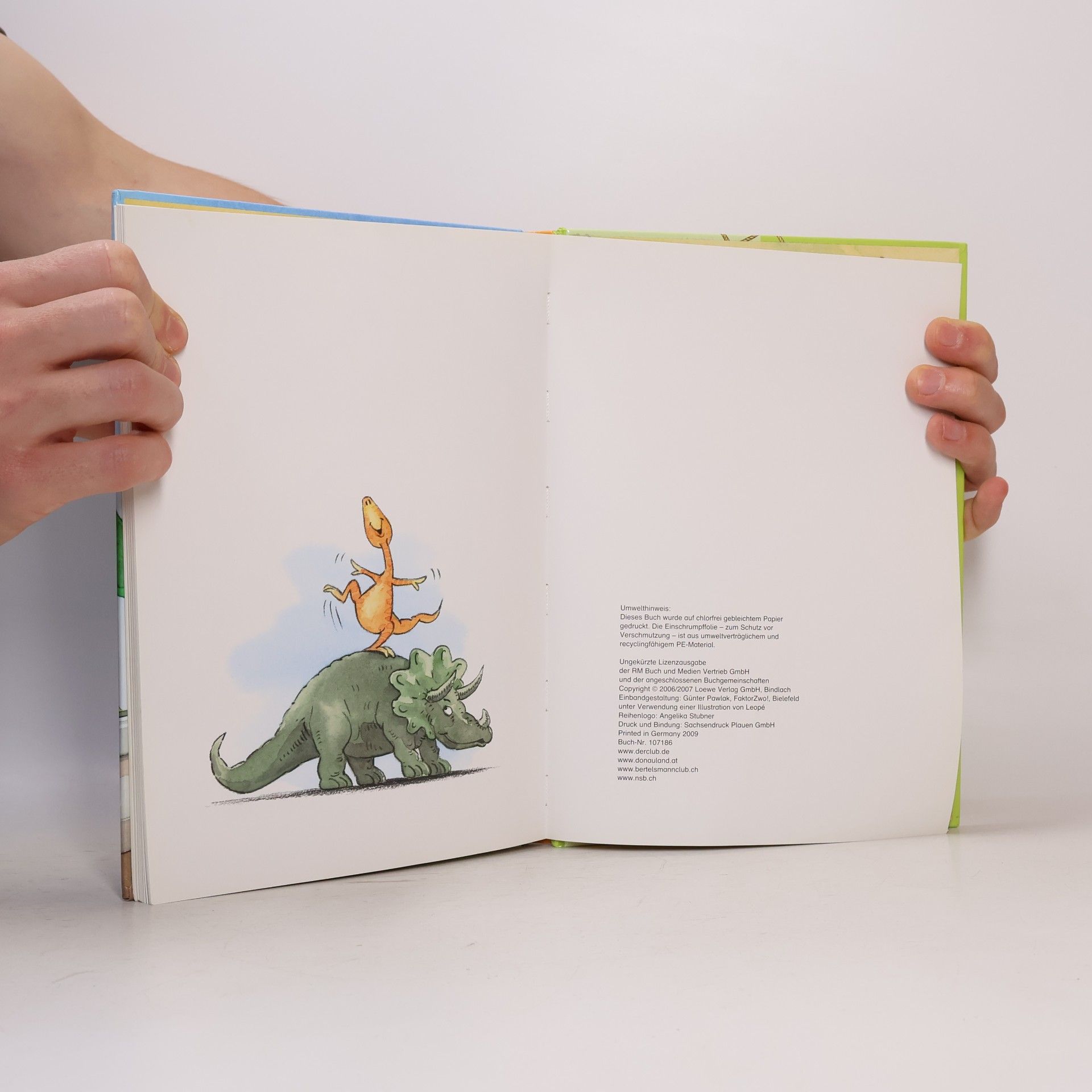 Collectif d'auteurs Dinosauriergeschichten. Ritterburggeschichten