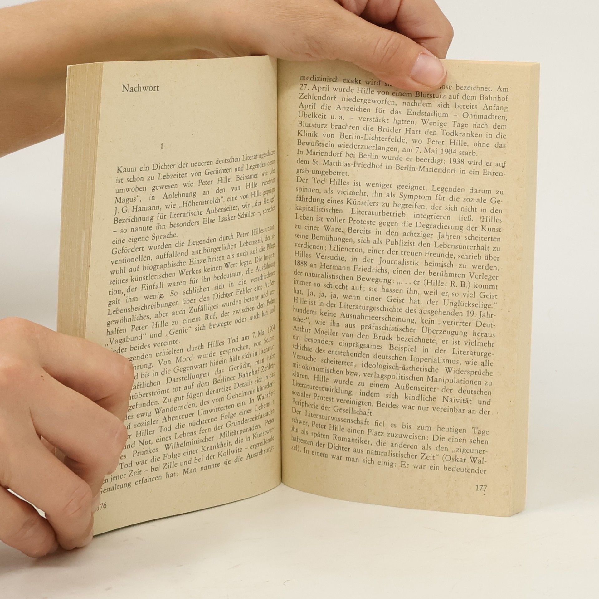 Peter Hille Ich bin, also ist Schönheit. Lyrik, Prosa, Aphorismen, Essays