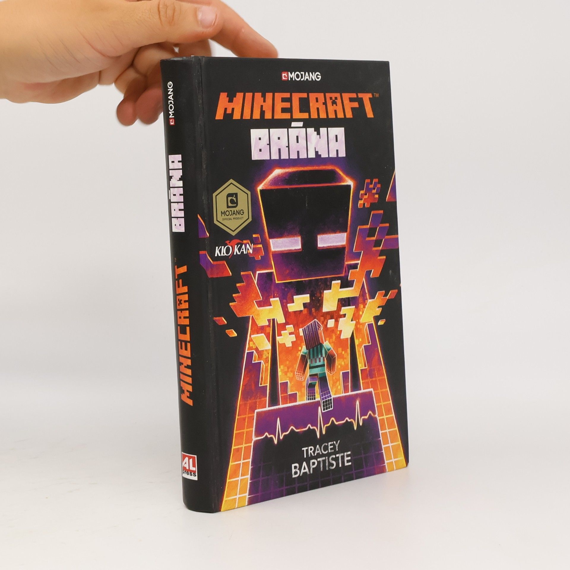 Tracey Baptiste Minecraft. Brána