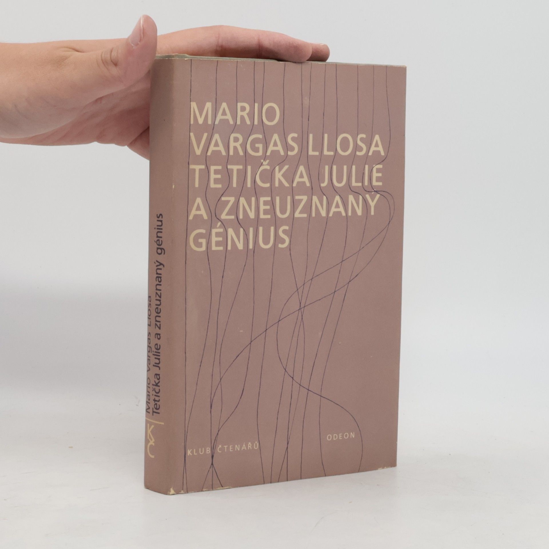 Tetička Julie a zneuznaný génius