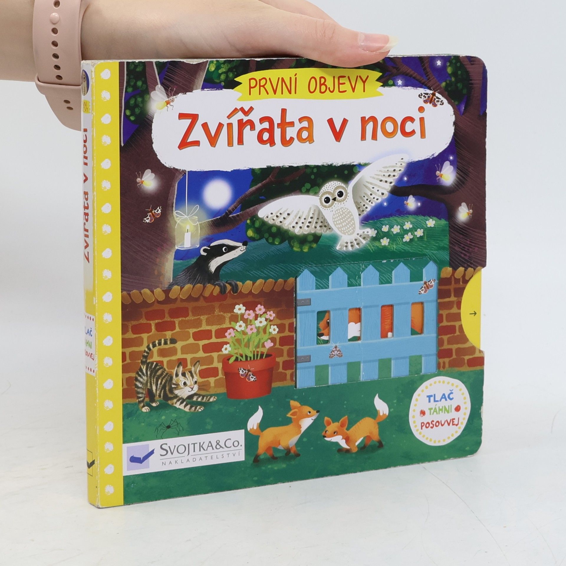 Jenny Wren První objevy: Zvířata v noci